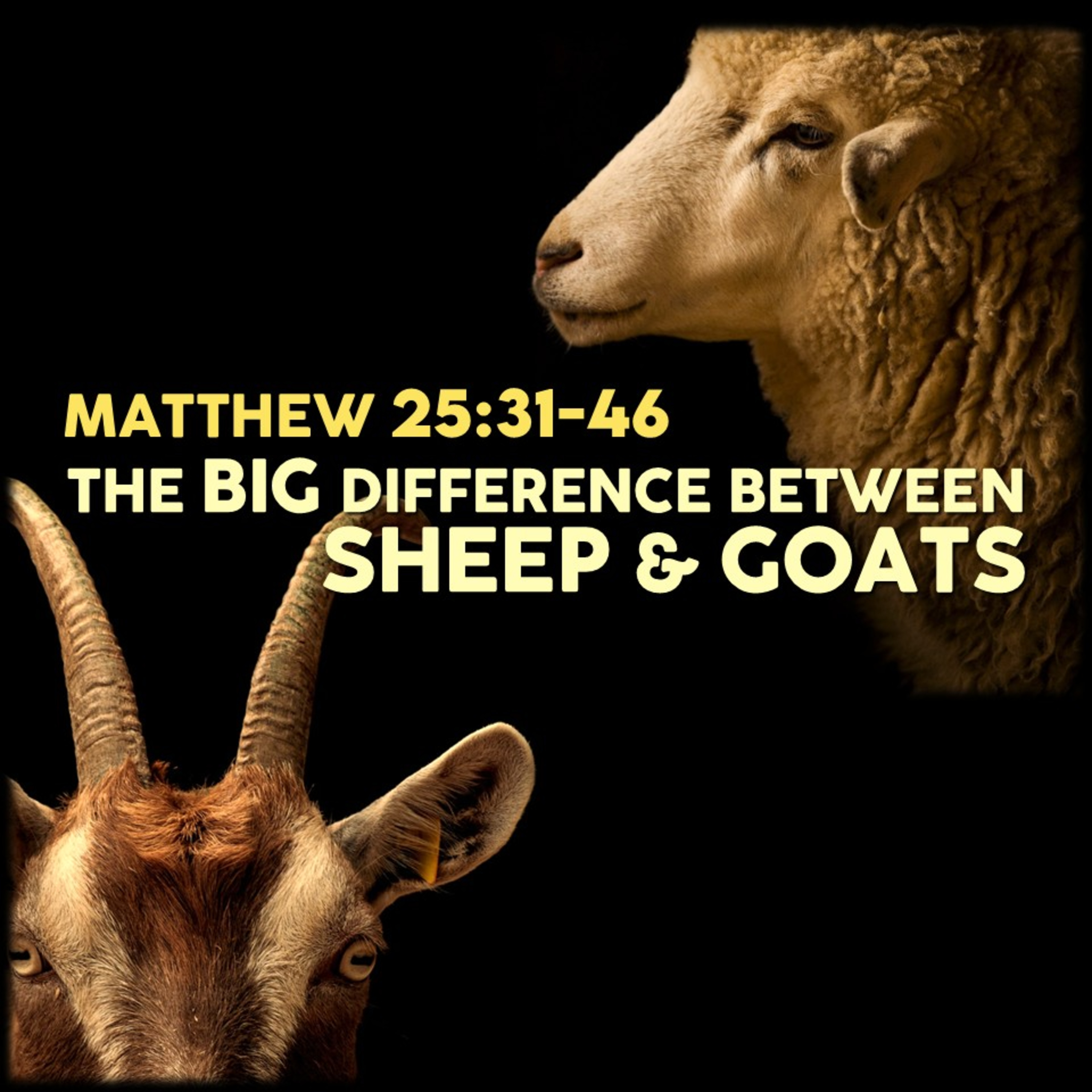 Matthew 25:31-46 | The Big Difference Between Sheep & Goats | Believers Church - Duluth Church Sermons - Verse by Verse Bible Studies episode artwork