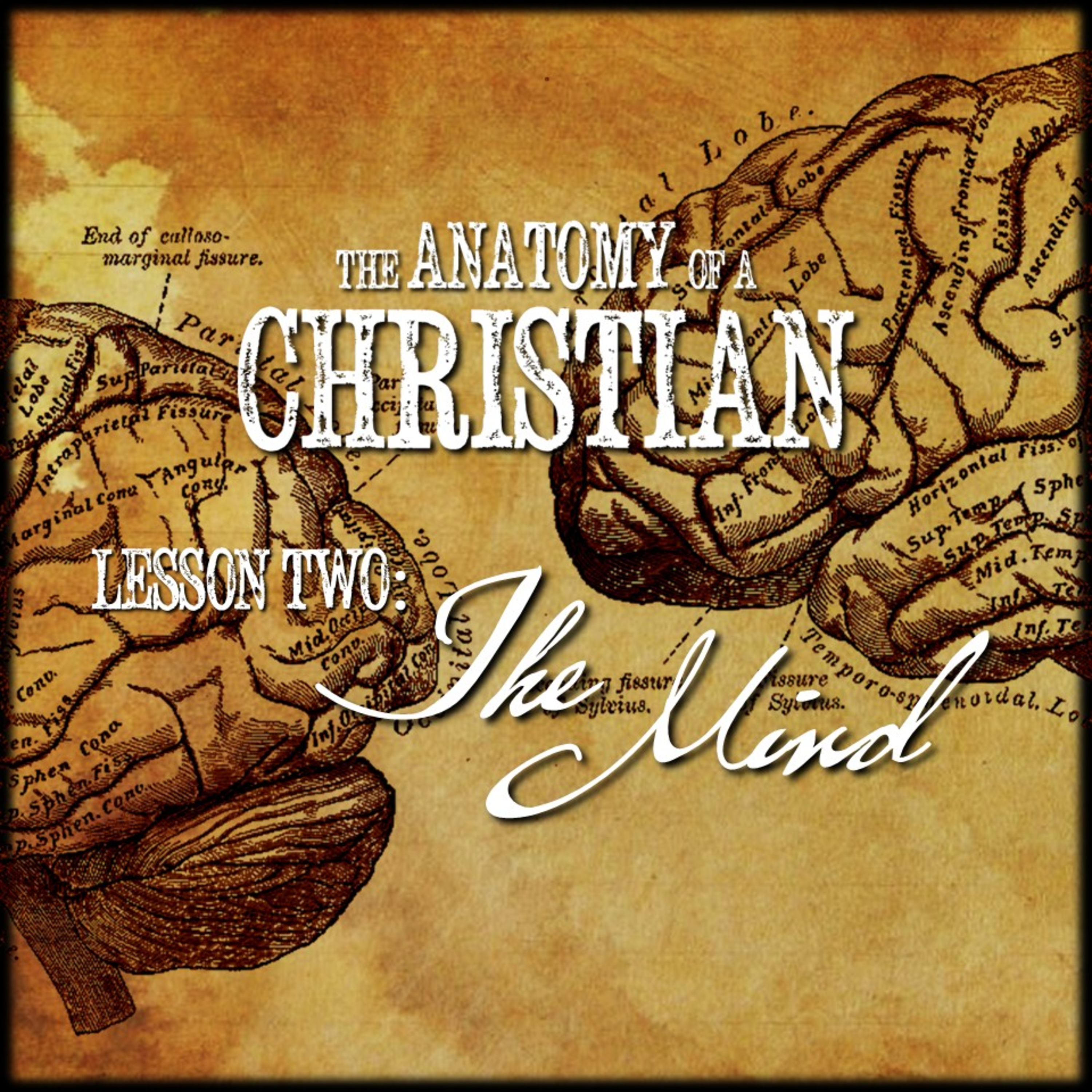 Anatomy Lesson #2: THE MIND | Believers Church - Duluth Church Sermons - Verse by Verse Bible Studies episode artwork
