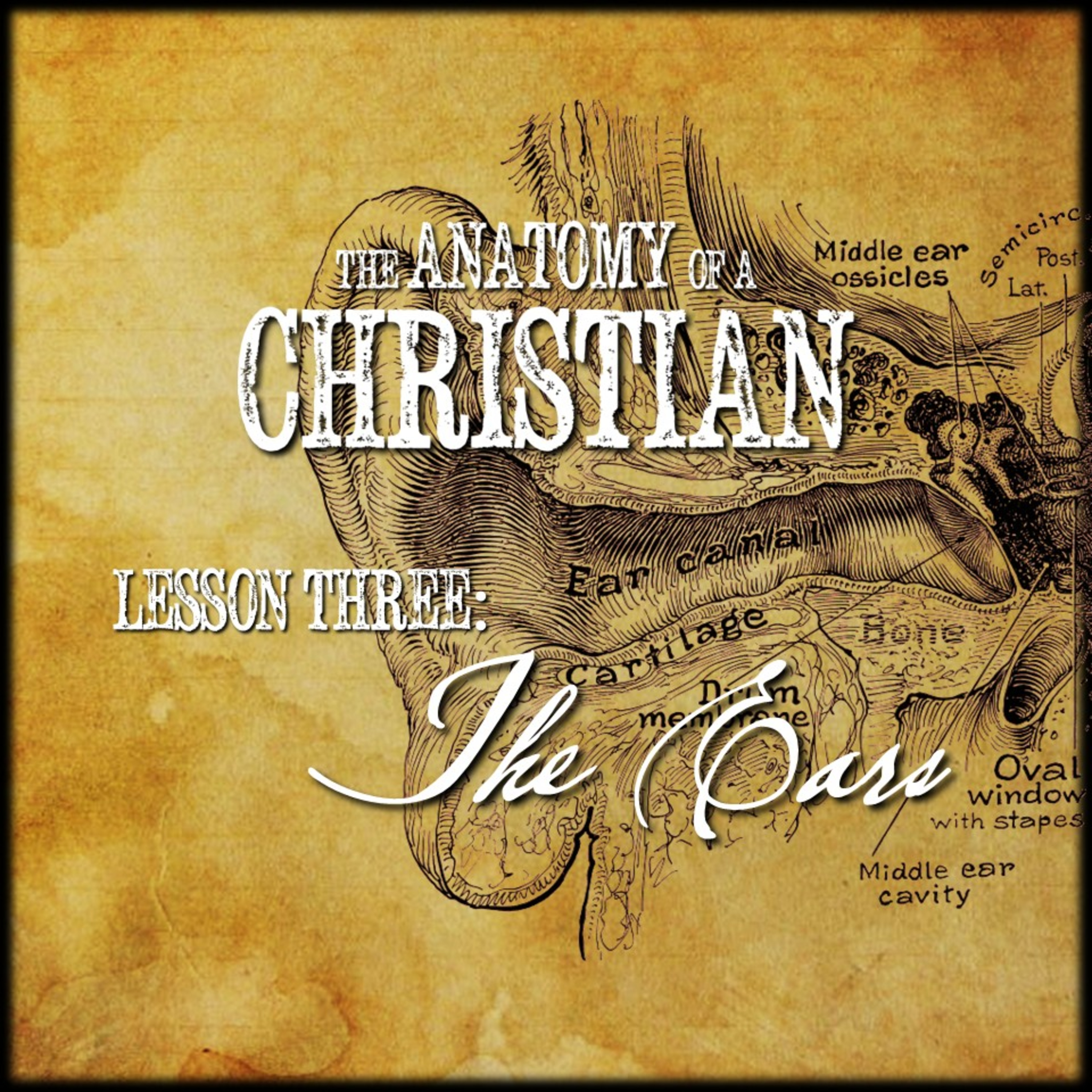 Anatomy Lesson #3: THE EAR | Believers Church - Duluth Church Sermons - Verse by Verse Bible Studies episode artwork