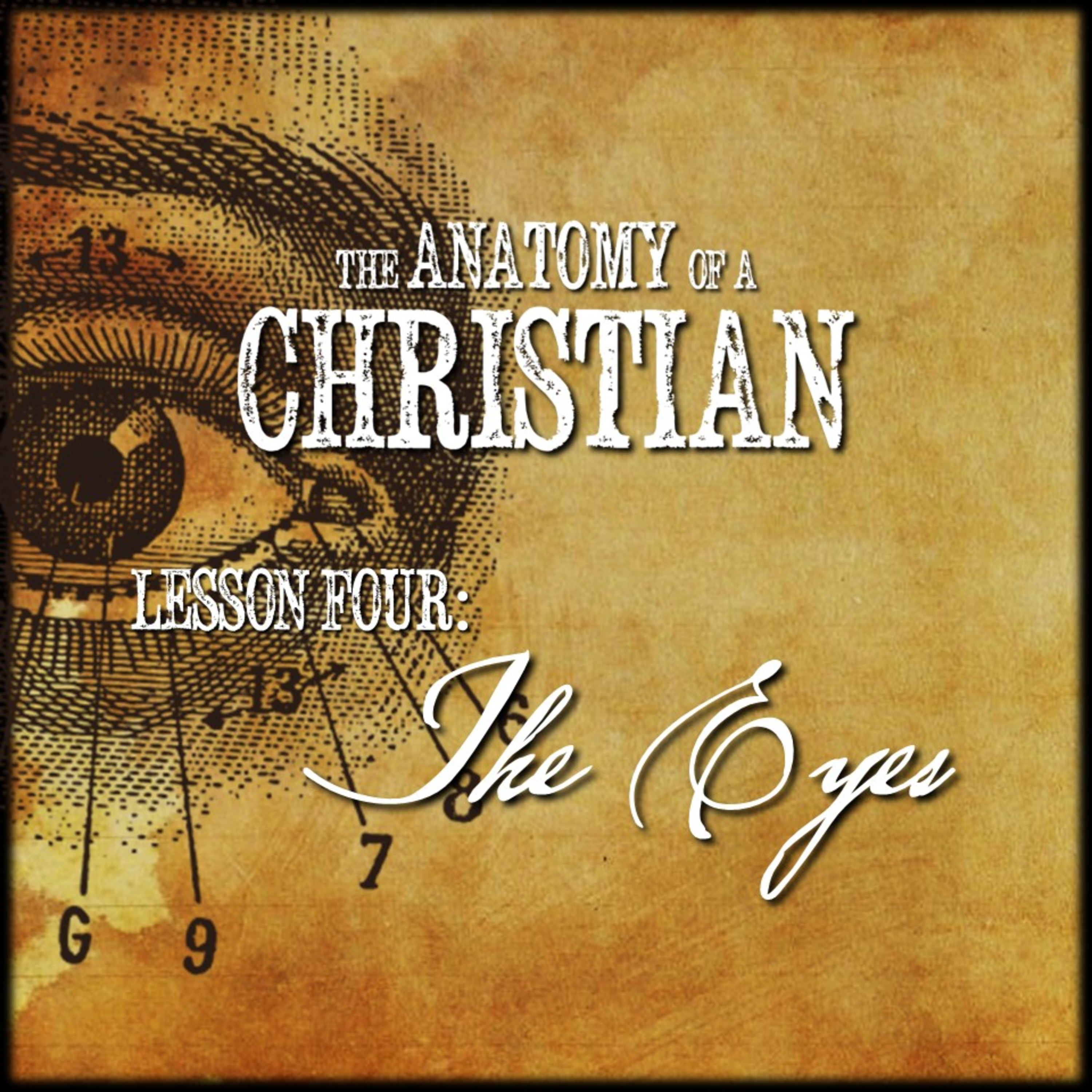 Anatomy Lesson #4: THE EYES | Believers Church - Duluth Church Sermons - Verse by Verse Bible Studies episode artwork