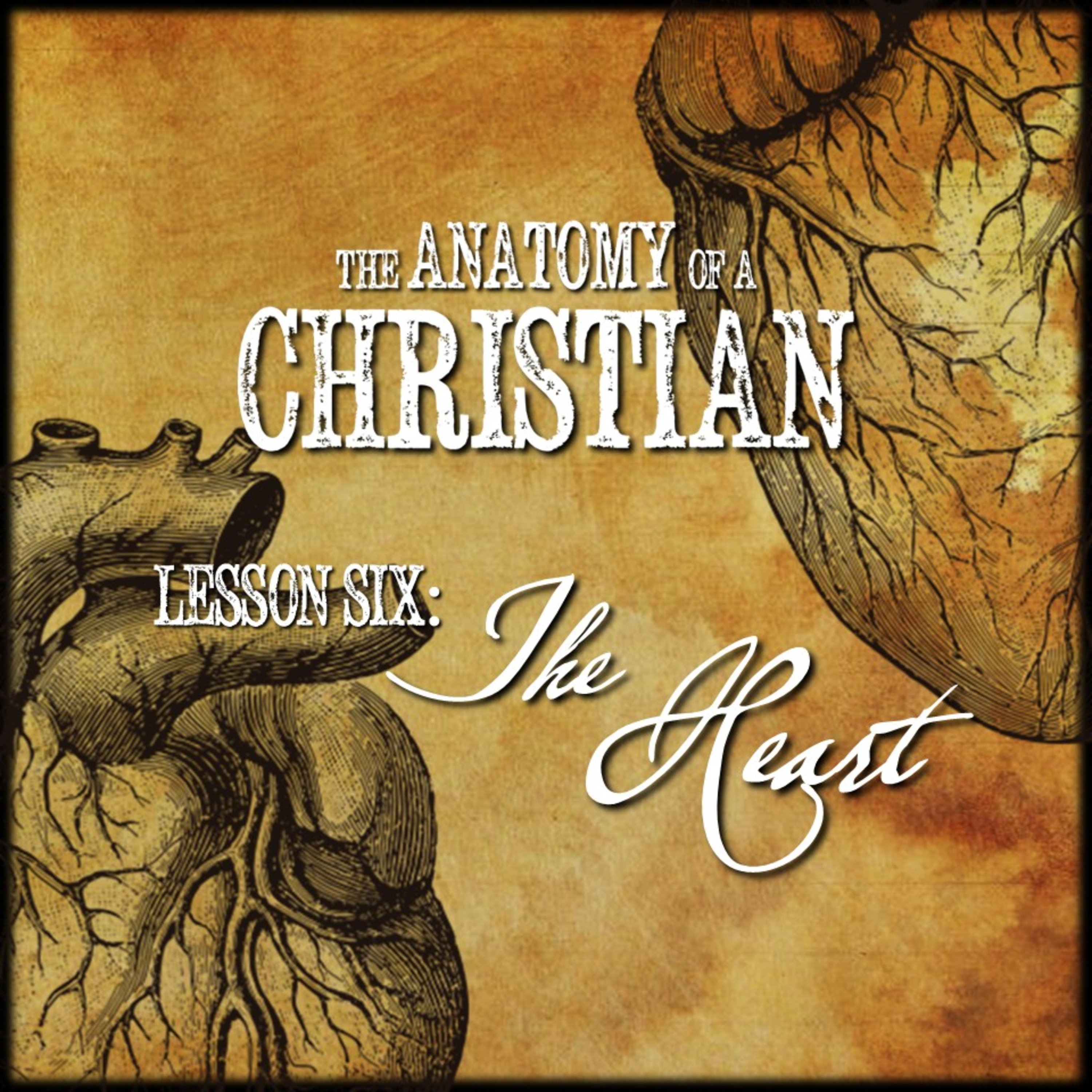 Anatomy Lesson #6: THE HEART | Believers Church - Duluth Church Sermons - Verse by Verse Bible Studies episode artwork