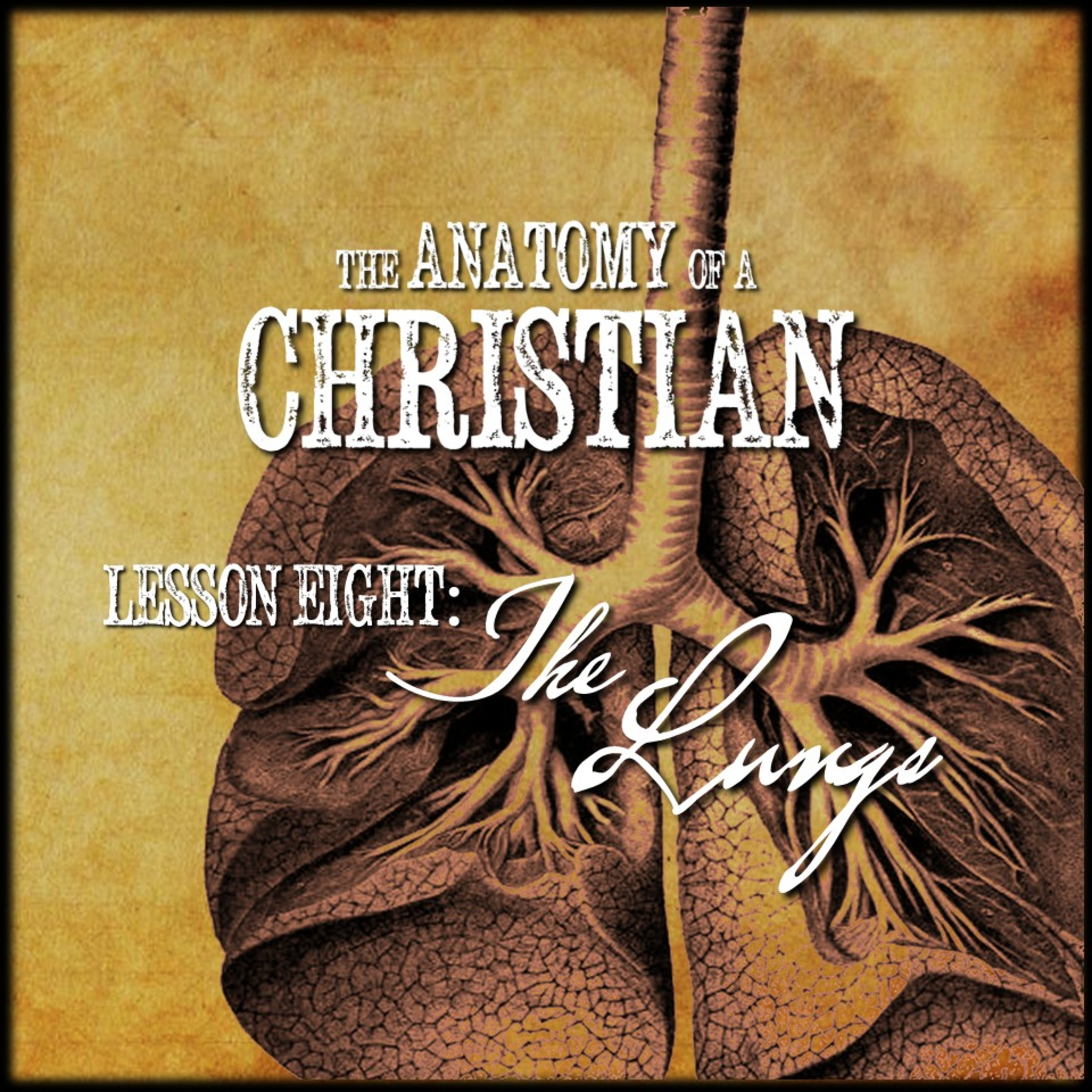 Anatomy Lesson #8: THE LUNGS | Believers Church - Duluth Church Sermons - Verse by Verse Bible Studies episode artwork