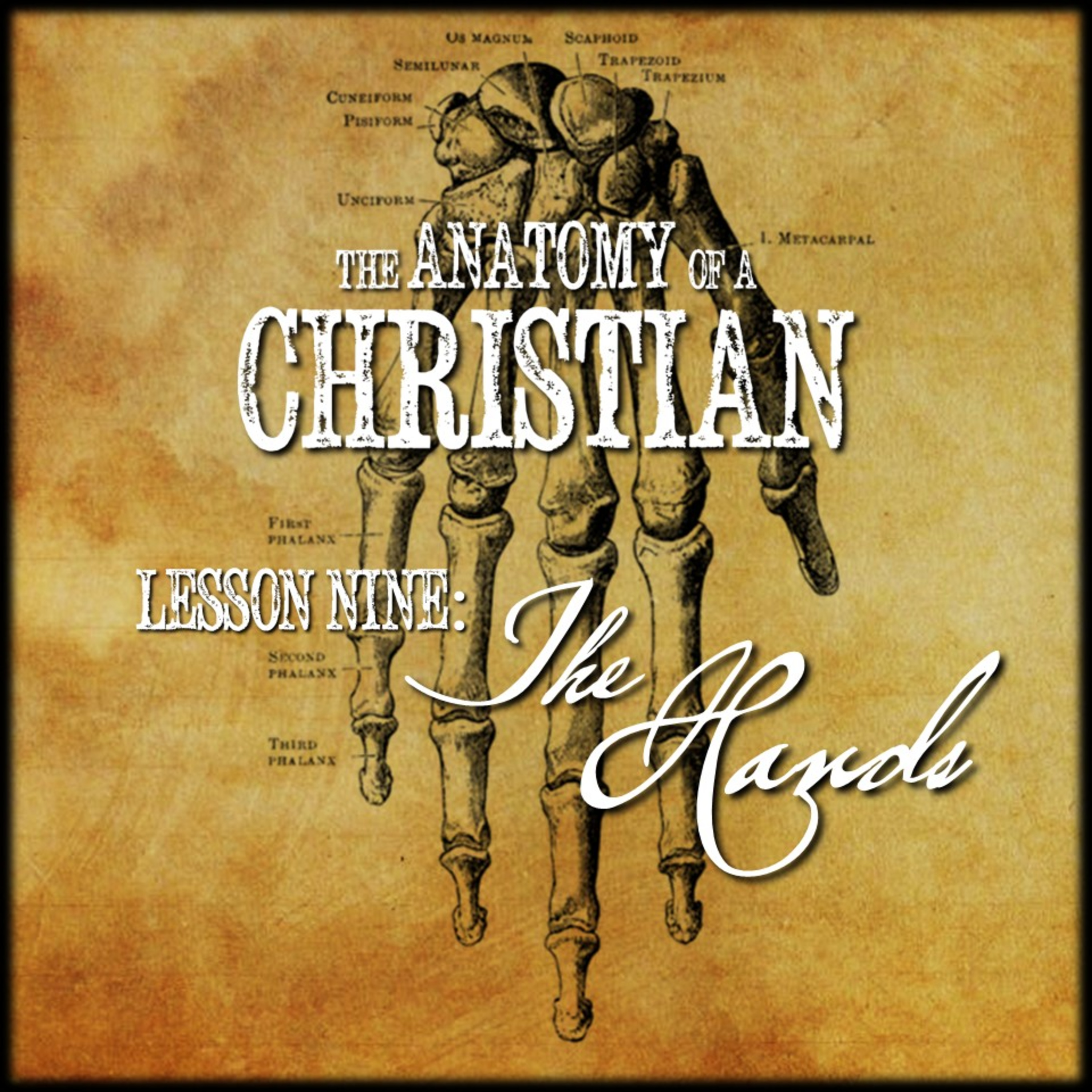 Anatomy Lesson #9: THE HANDS | Believers Church - Duluth Church Sermons - Verse by Verse Bible Studies episode artwork