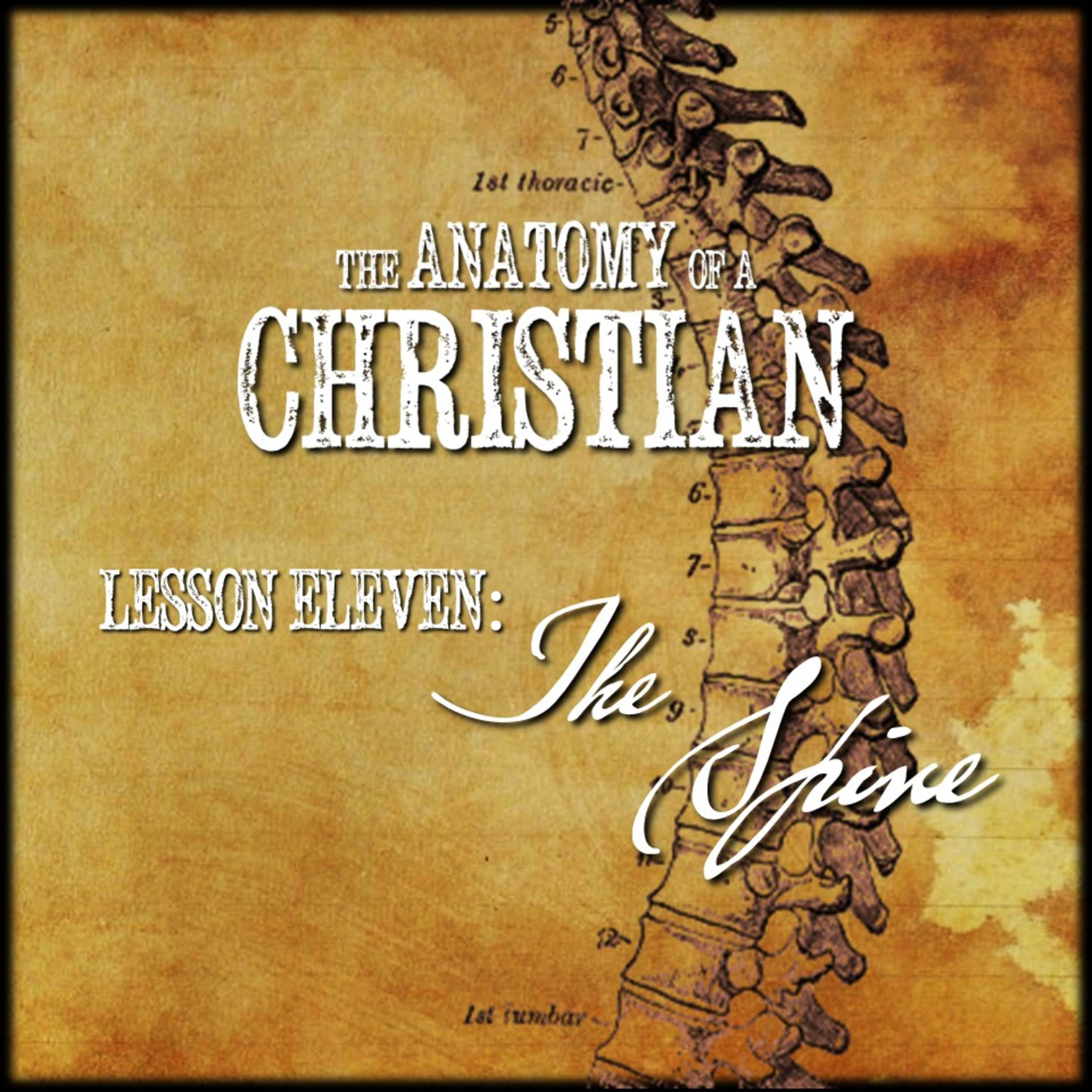 Anatomy Lesson #11: THE SPINE | Believers Church - Duluth Church Sermons - Verse by Verse Bible Studies episode artwork