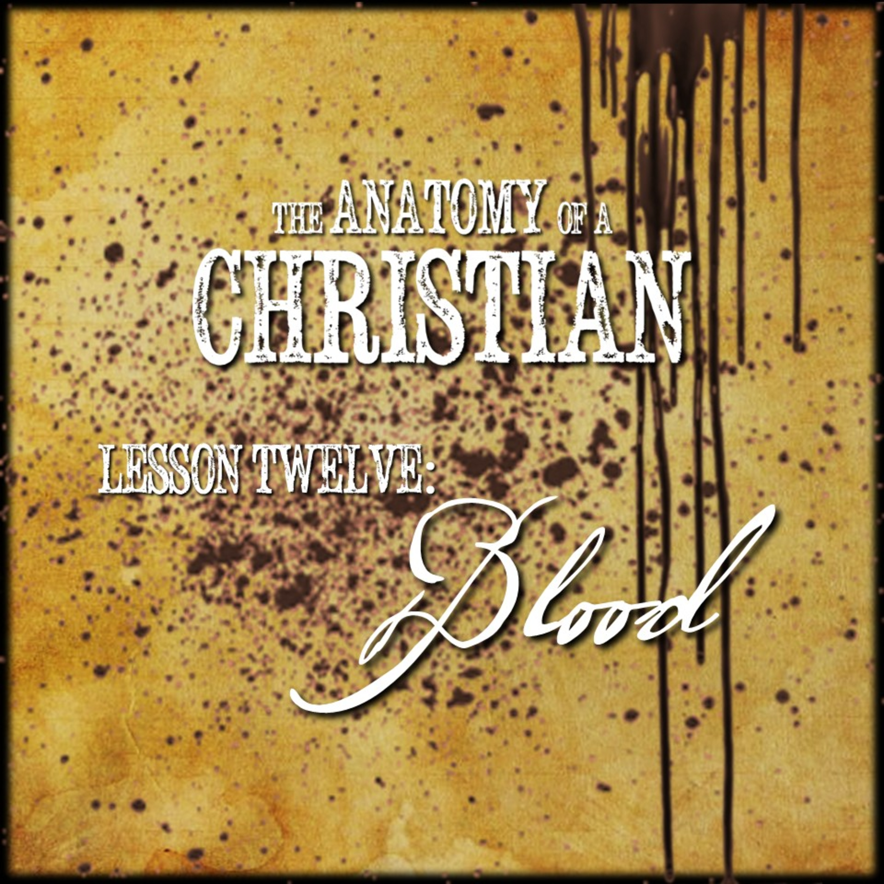 Anatomy Lesson #12: BLOOD | Believers Church - Duluth Church Sermons - Verse by Verse Bible Studies episode artwork