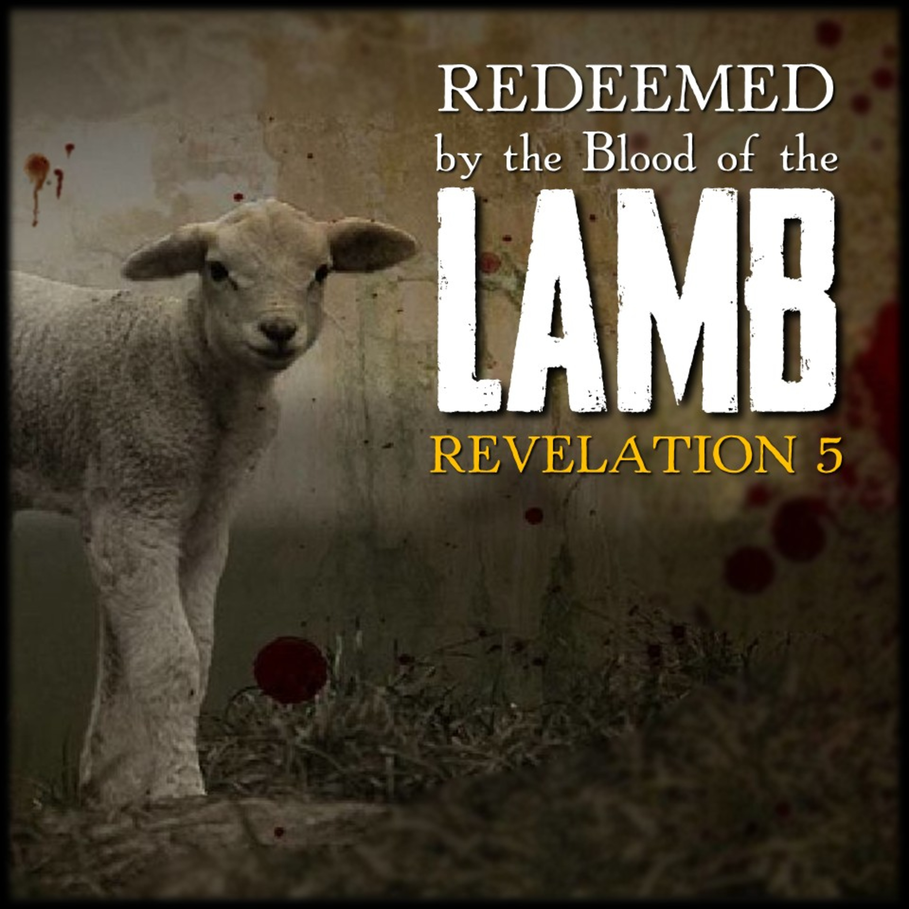 Redeemed by the Blood of the Lamb | Revelation 5 | Believers Church - Duluth Church Sermons - Verse by Verse Bible Studies episode artwork