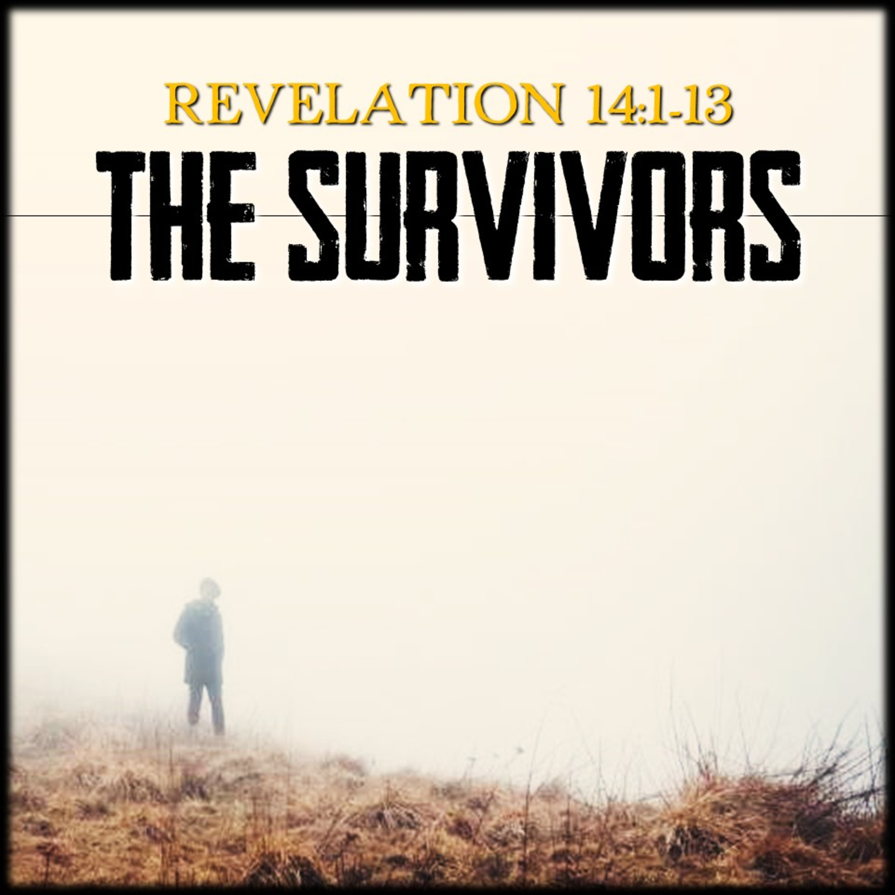 The Survivors | Revelation 14 | Believers Church - Duluth Church Sermons - Verse by Verse Bible Studies episode artwork