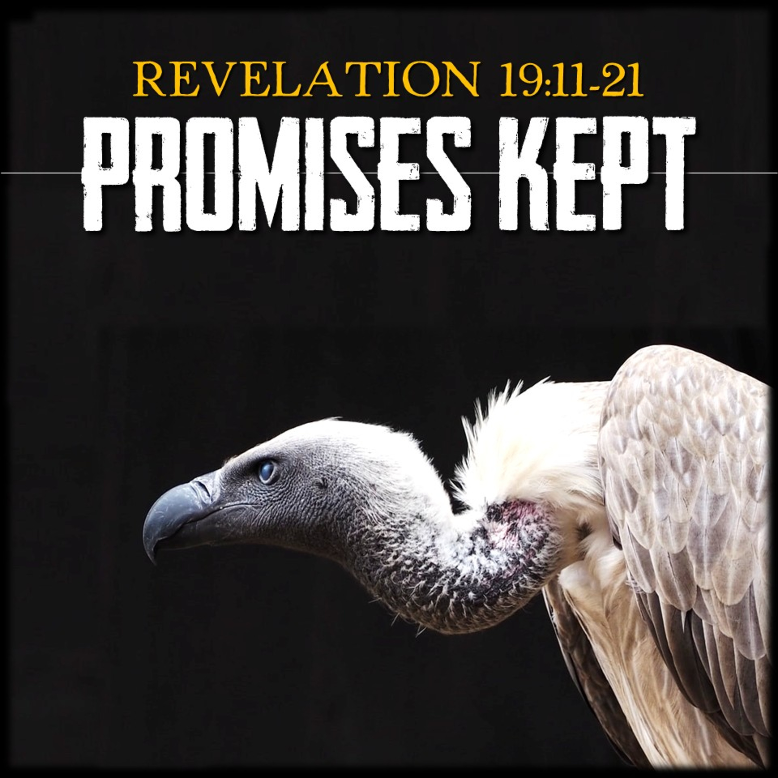 Promises Kept | Revelation 19:11-21 | Believers Church - Duluth Church Sermons - Verse by Verse Bible Studies episode artwork