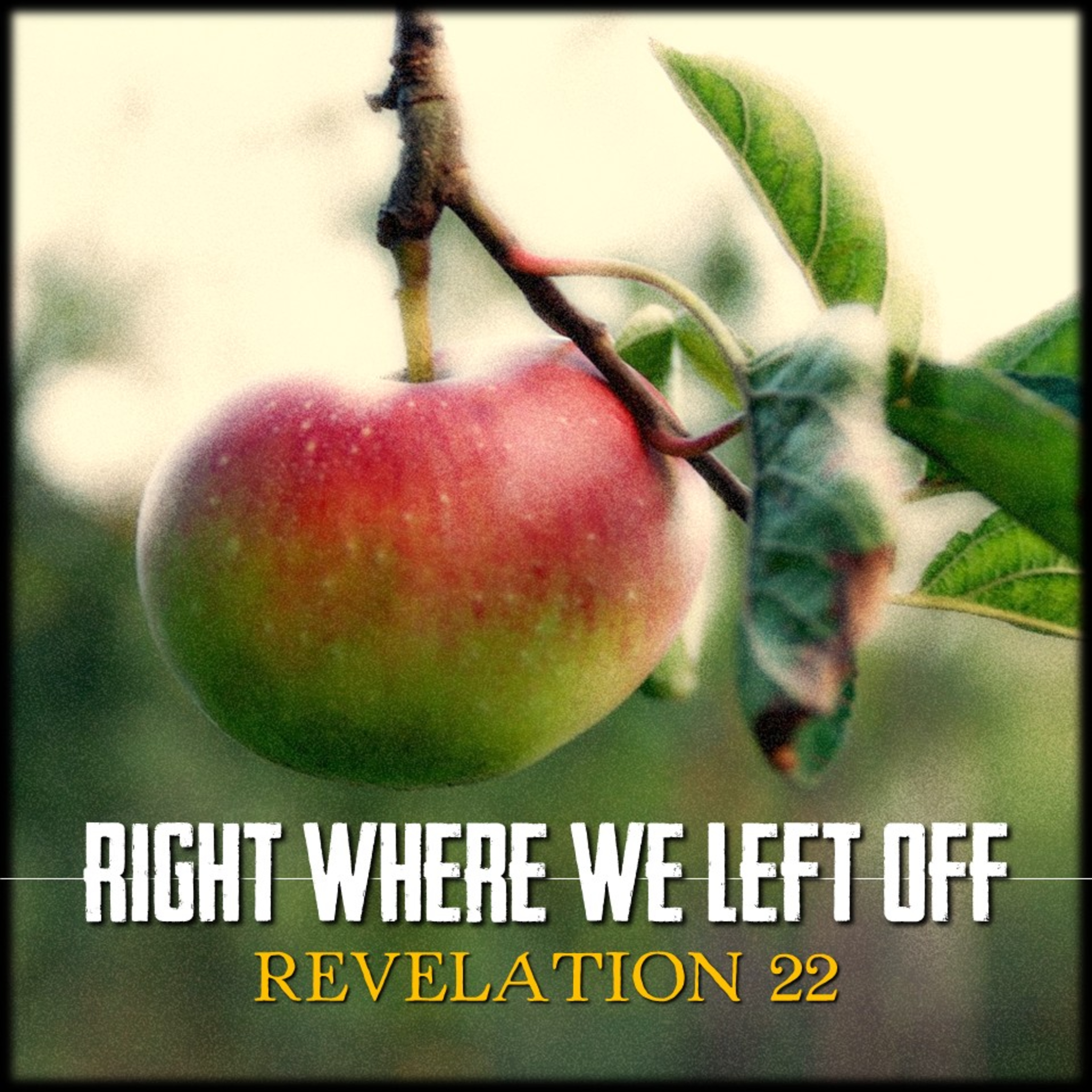 Right Where We Left Off | Revelation 22 | Believers Church - Duluth Church Sermons - Verse by Verse Bible Studies episode artwork