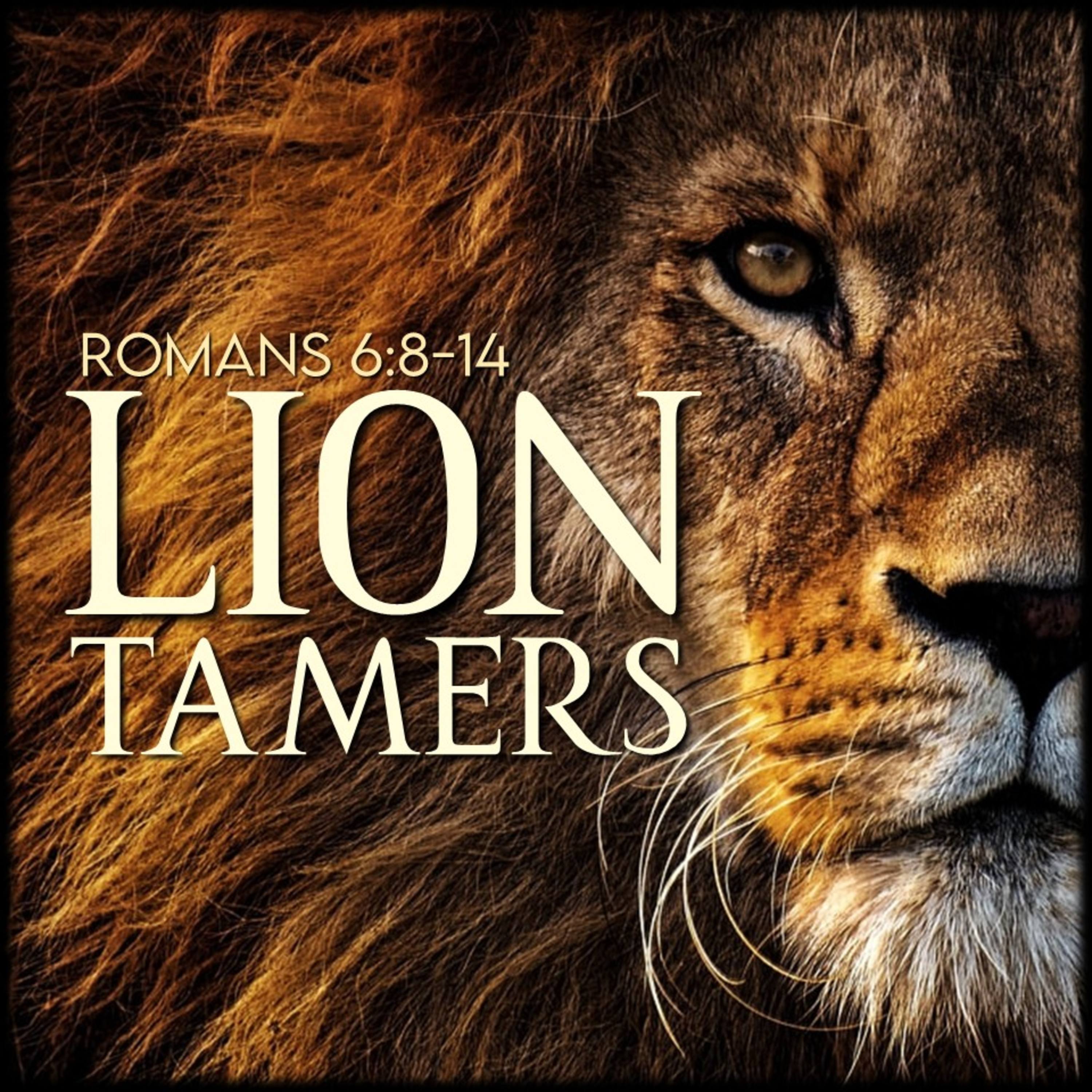 Romans 6:8-14 | Lion Tamers | Believers Church - Duluth Church Sermons - Verse by Verse Bible Studies episode artwork