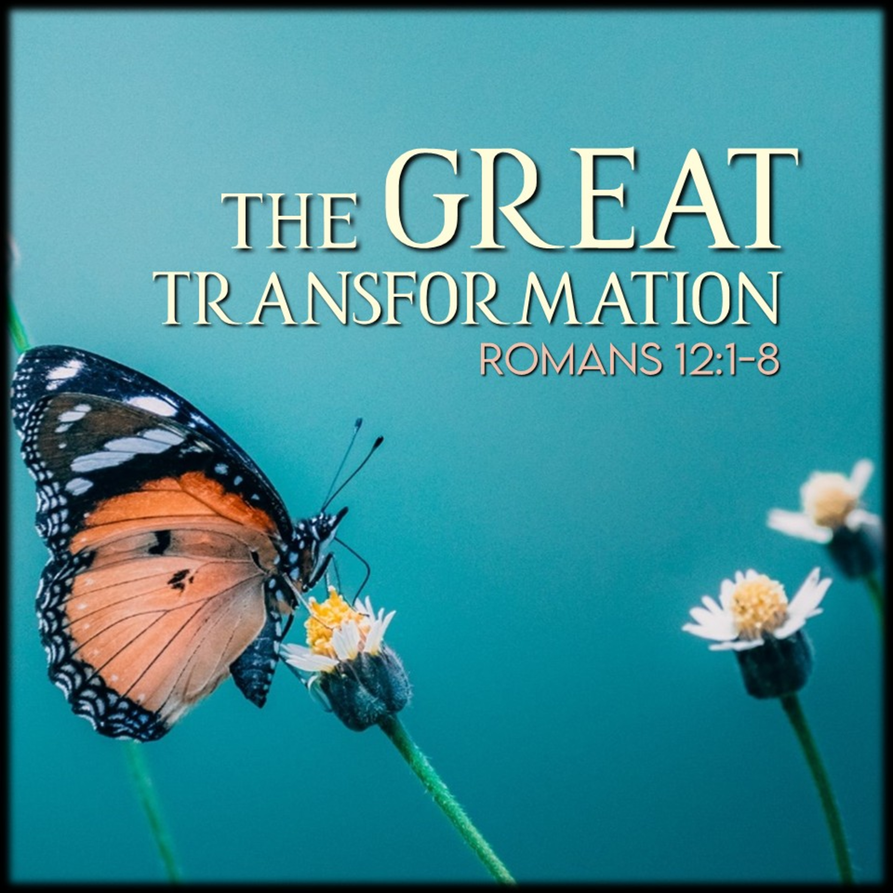 Romans 12:1-8 | The Great Transformation | Believers Church - Duluth Church Sermons - Verse by Verse Bible Studies episode artwork