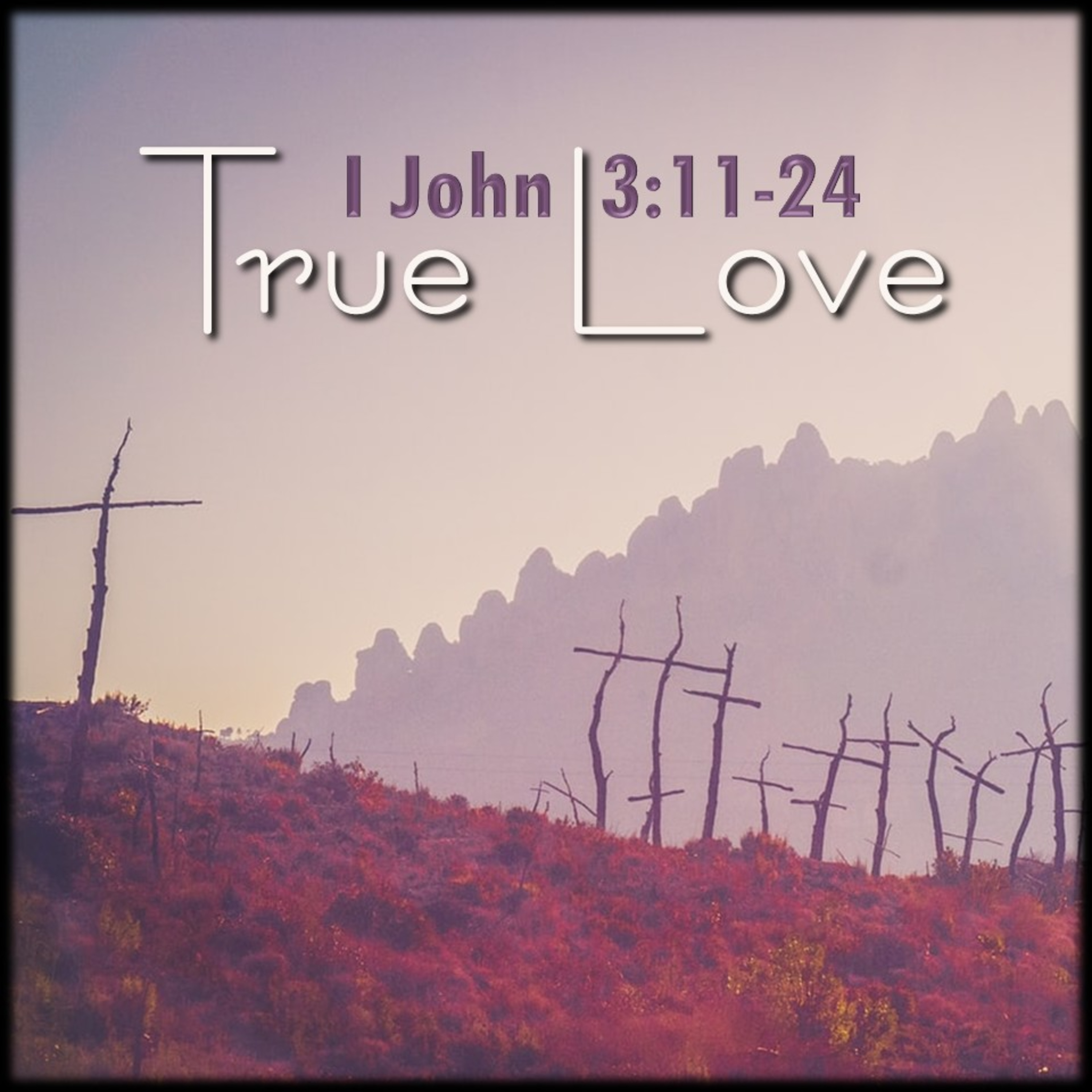 True Love | 1 John 3:11-24 | Believers Church - Duluth Church Sermons - Verse by Verse Bible Studies episode artwork