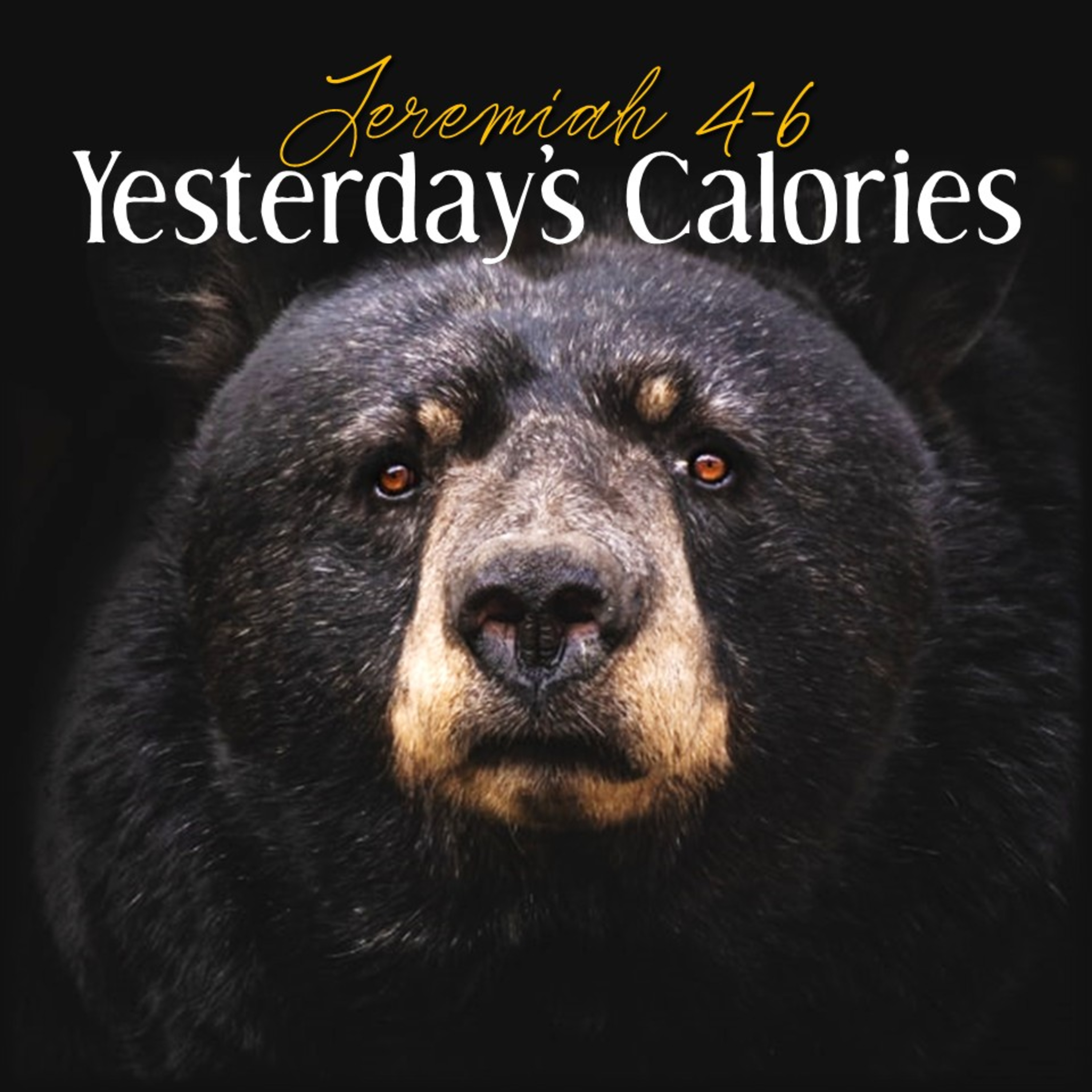 Yesterday's Calories | Jeremiah 4-6 | Believers Church - Duluth Church Sermons - Verse by Verse Bible Studies episode artwork