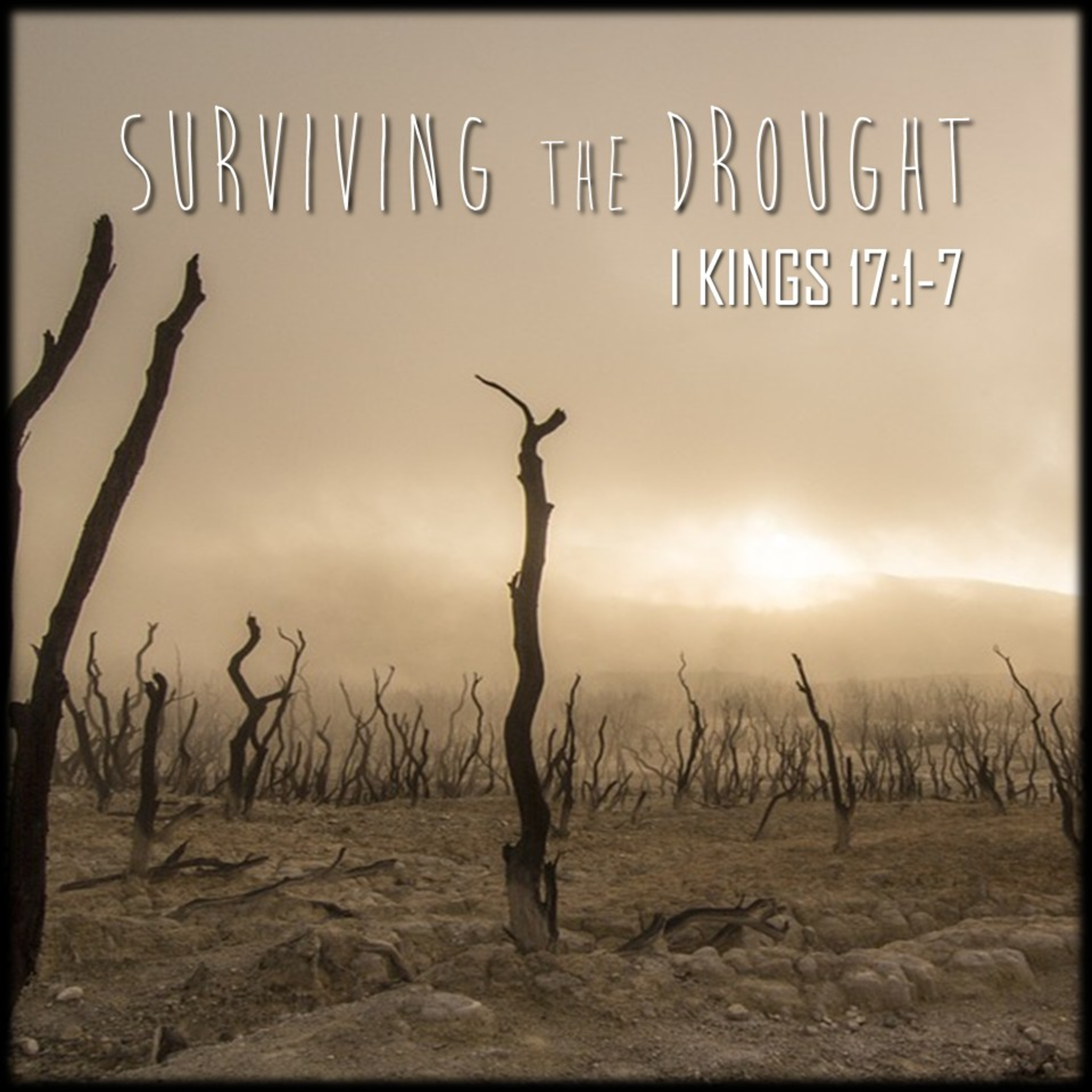 1 Kings 17:1-7 | Surviving the Drought | Believers Church - Duluth Church Sermons - Verse by Verse Bible Studies episode artwork