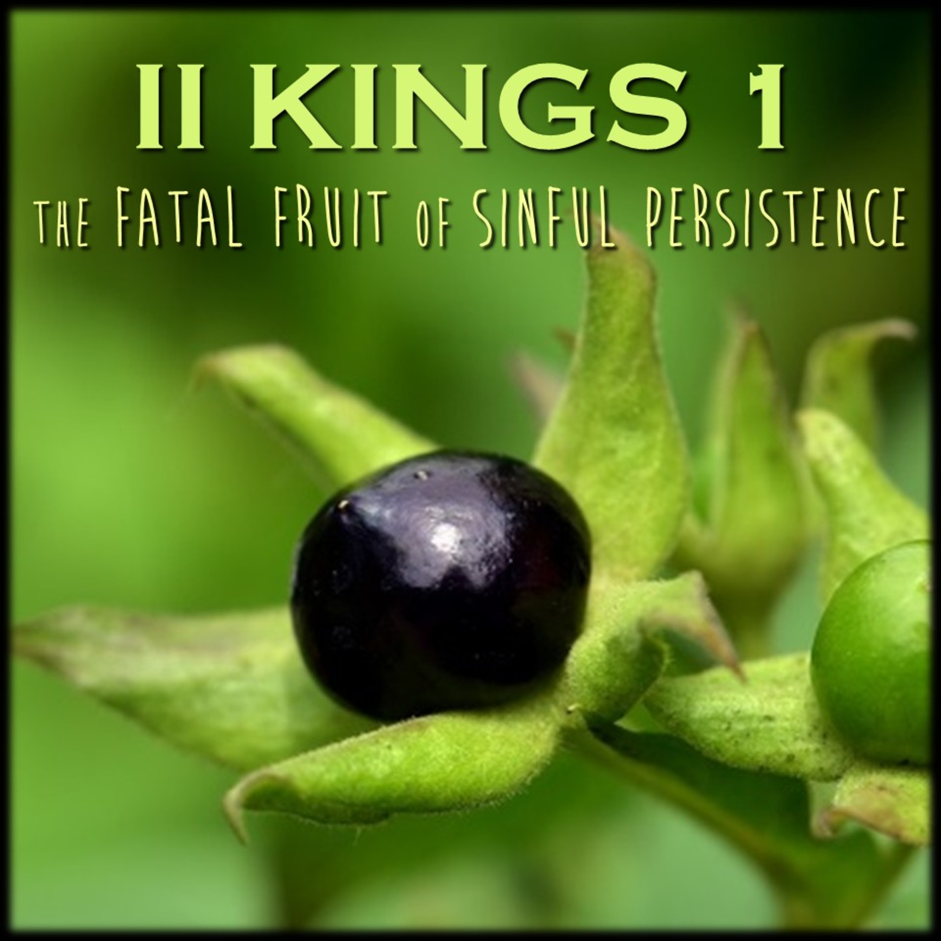 II Kings 1 | The Fatal Fruit of Sinful Persistence | Believers Church - Duluth Church Sermons - Verse by Verse Bible Studies episode artwork