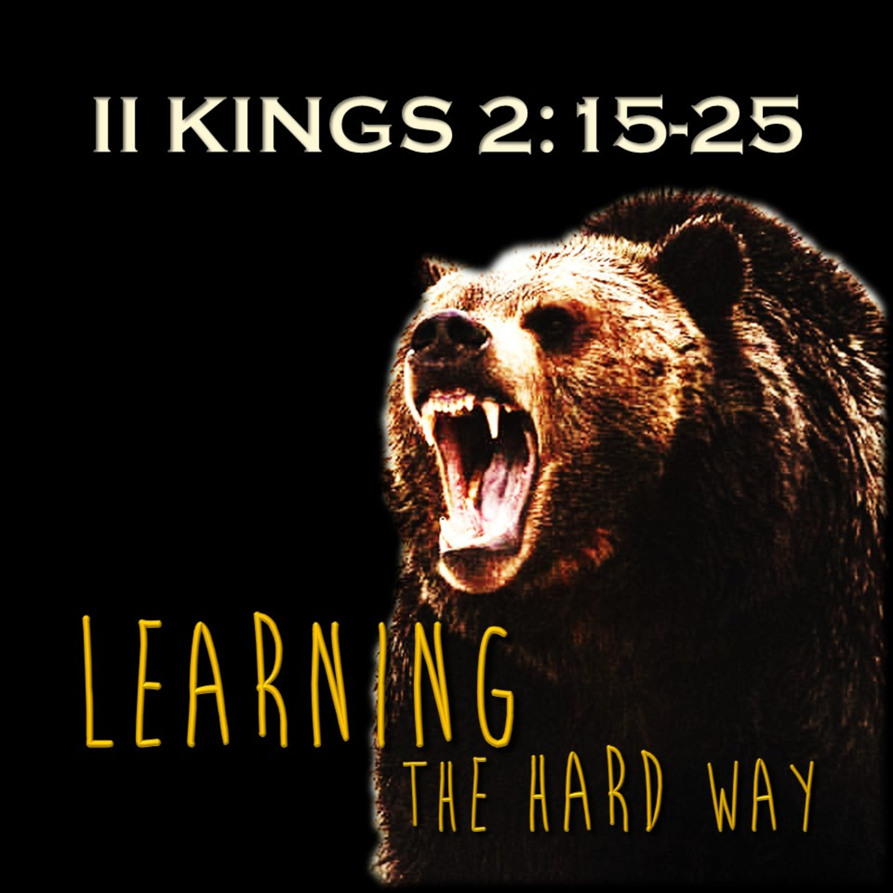 II Kings 2:15-25 | Learning the Hard Way | Believers Church - Duluth Church Sermons - Verse by Verse Bible Studies episode artwork
