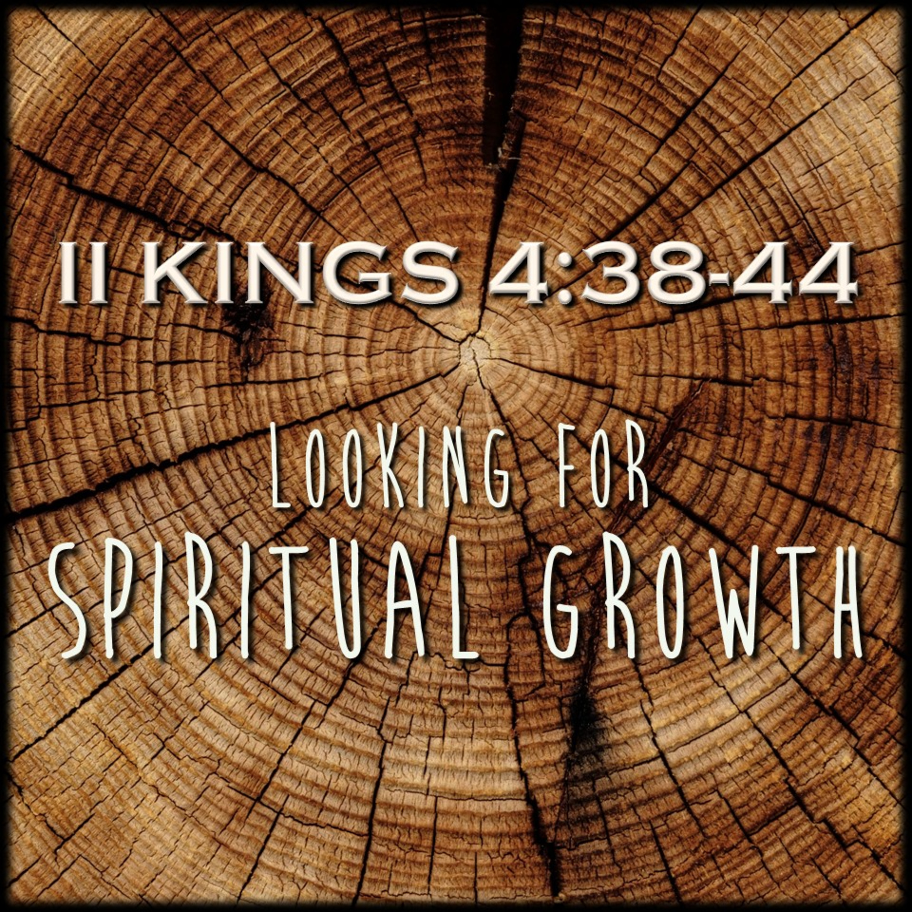 II Kings 4:38-44 | Looking for Spiritual Growth | Believers Church - Duluth Church Sermons - Verse by Verse Bible Studies episode artwork