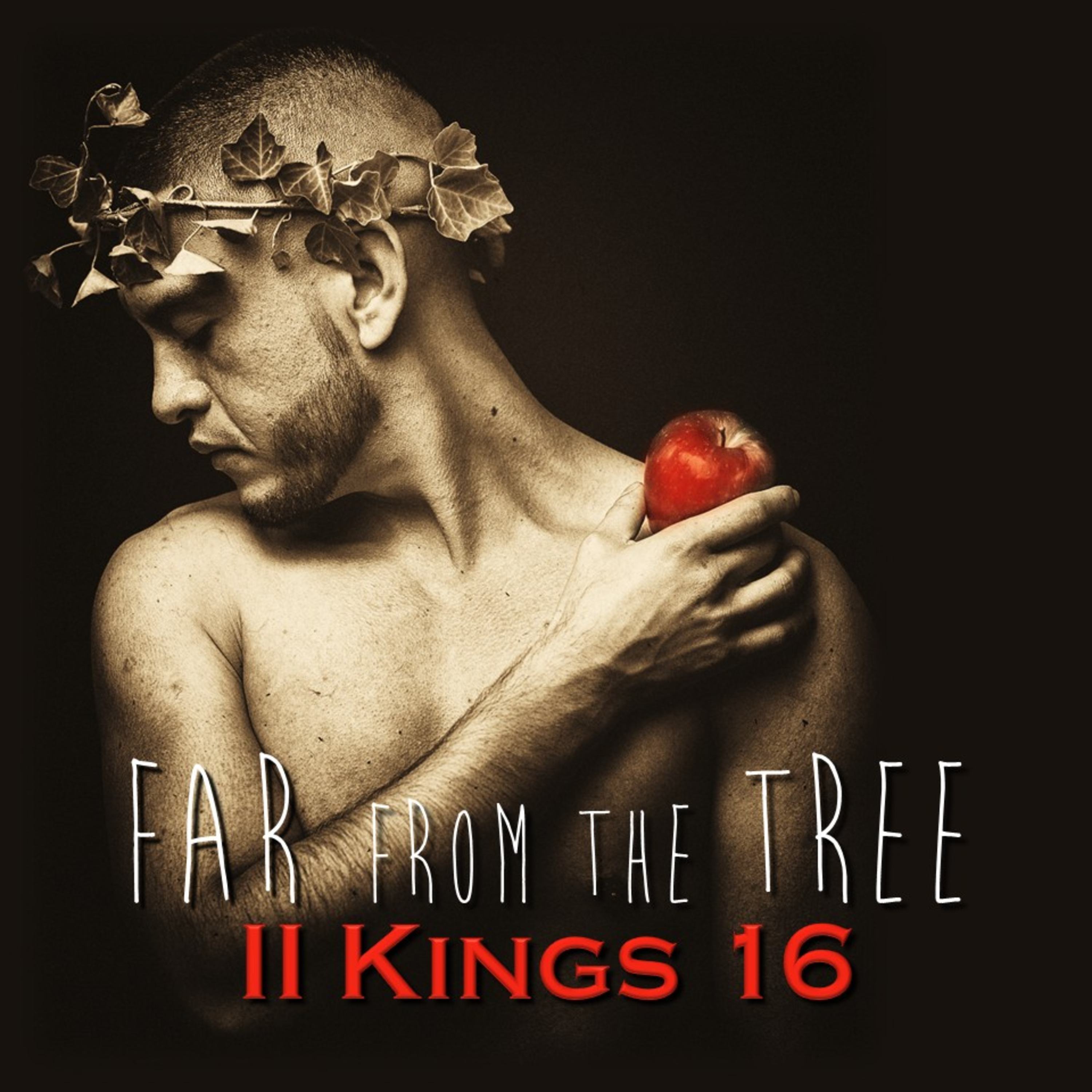 II Kings 16 | Far From the Tree | Believers Church - Duluth Church Sermons - Verse by Verse Bible Studies episode artwork