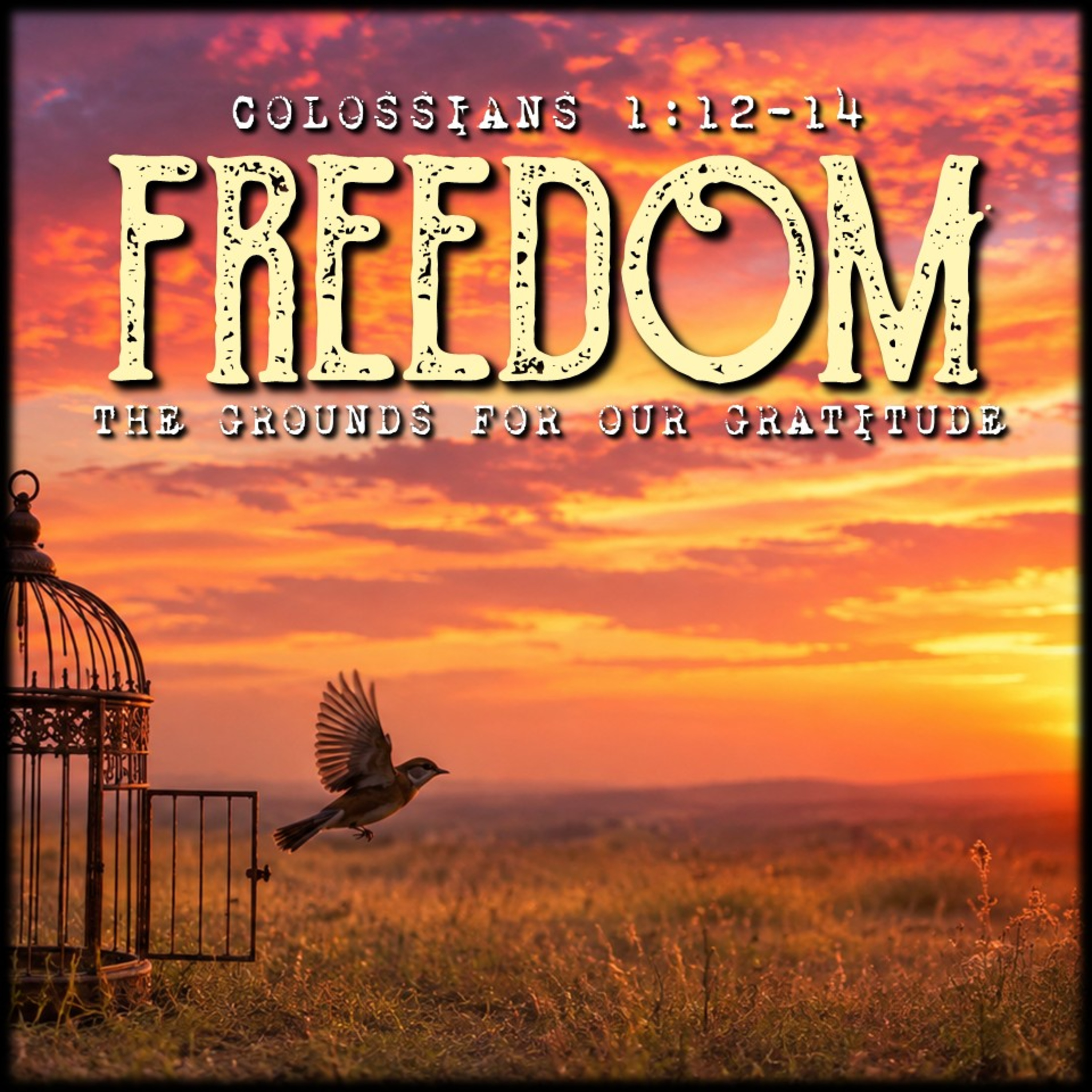Colossians 1:12-14 | "FREEDOM - The Grounds for Our Gratitude" | Believers Church - Duluth Church Sermons - Verse by Verse Bible Studies episode artwork