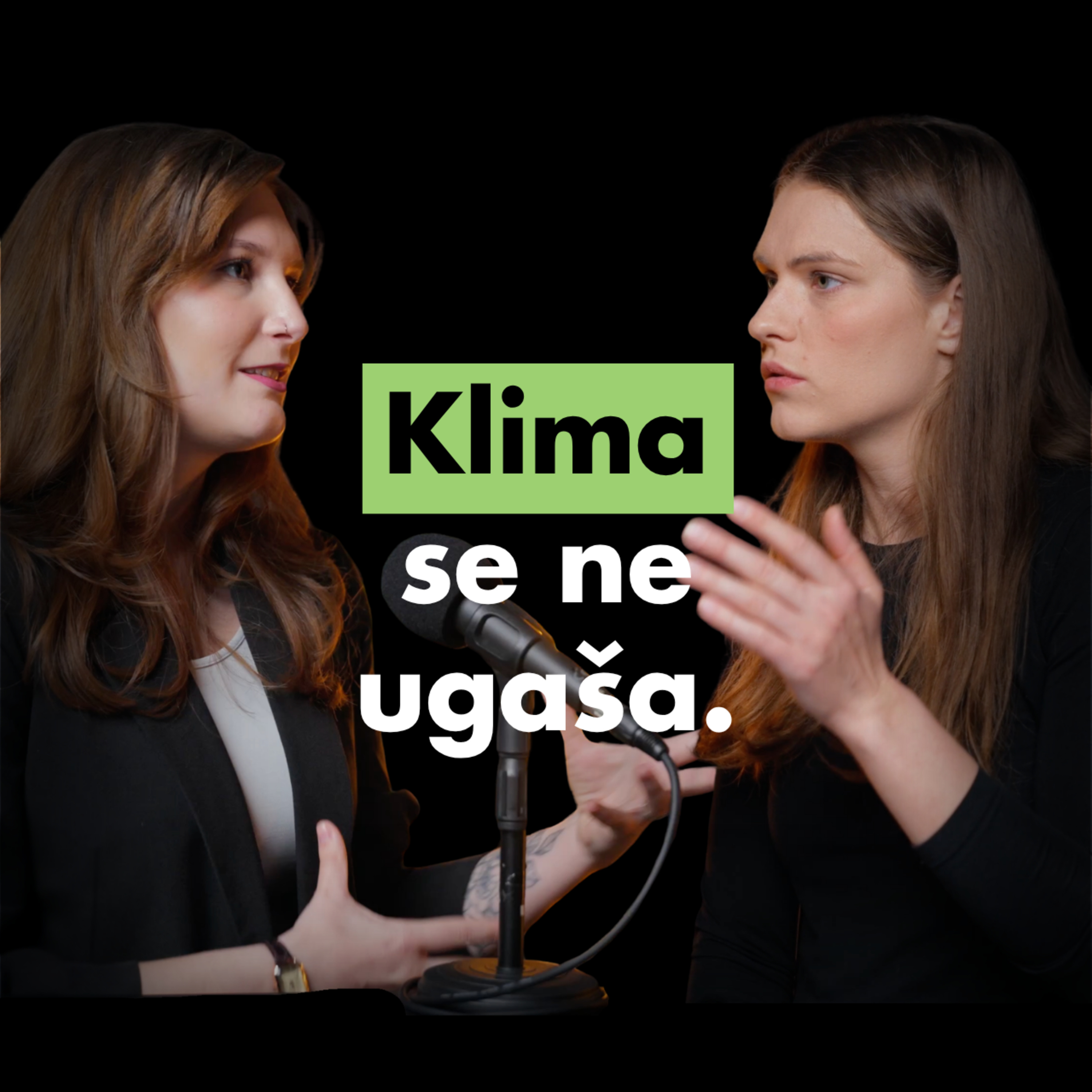 Drva ali toplotna črpalka- kaj nas na koncu stane manj? I Kaja Krnc, Vitaterm