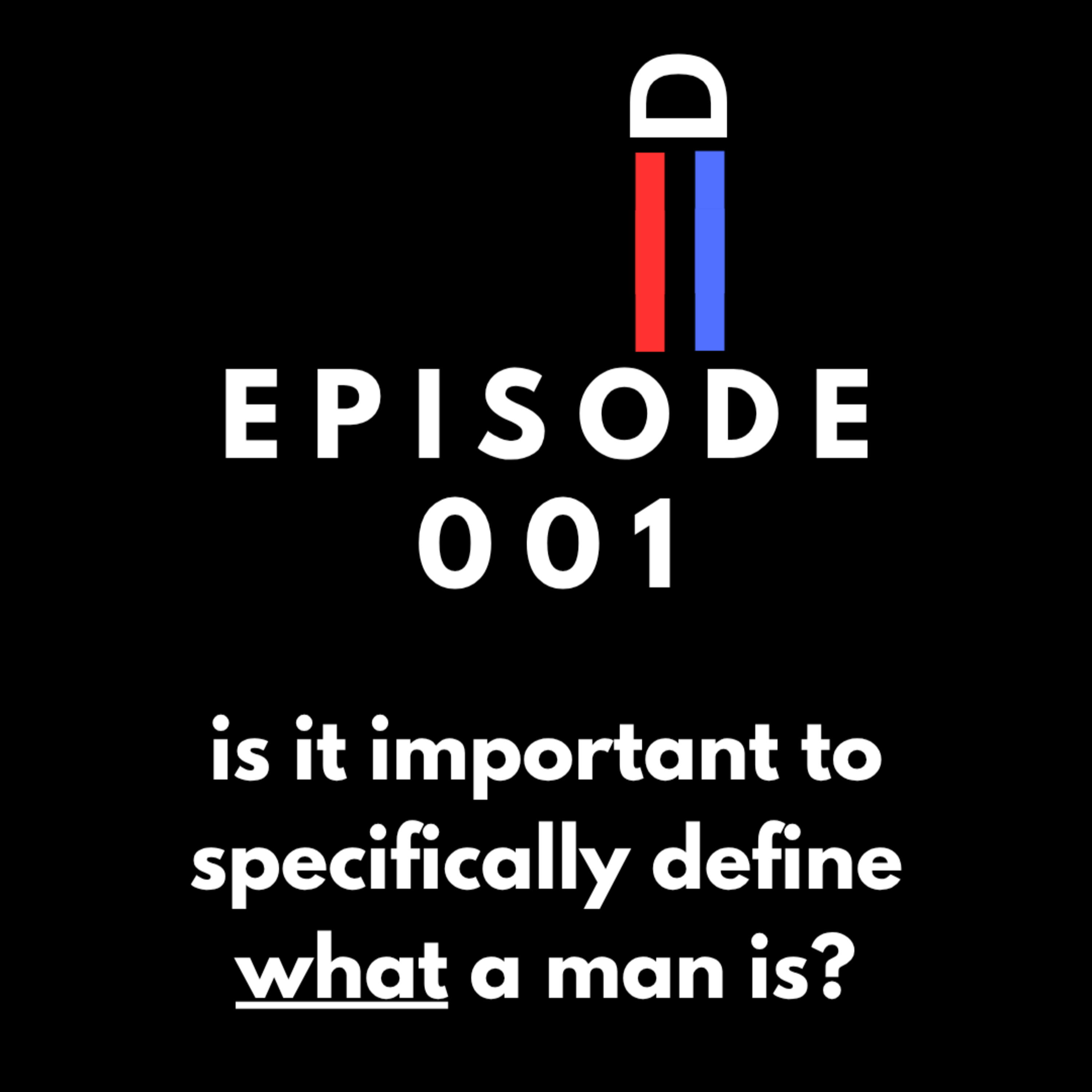 Is it important to define what a man is? episode artwork