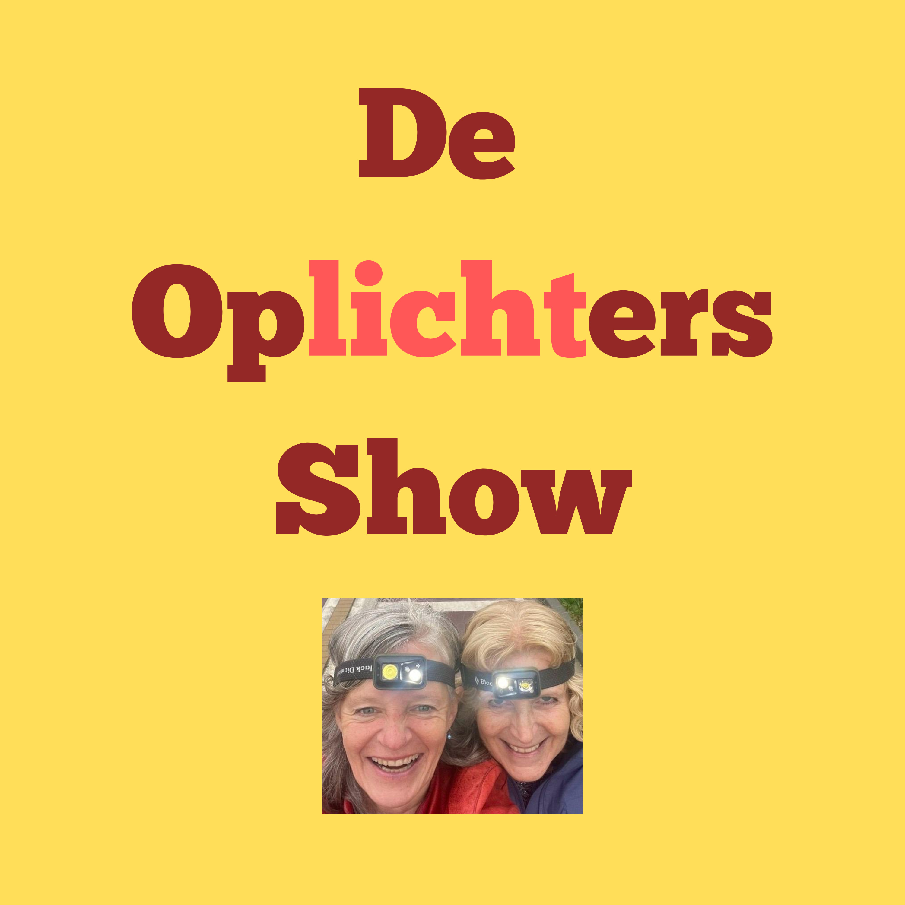 Artwork for De OpLICHTers Show