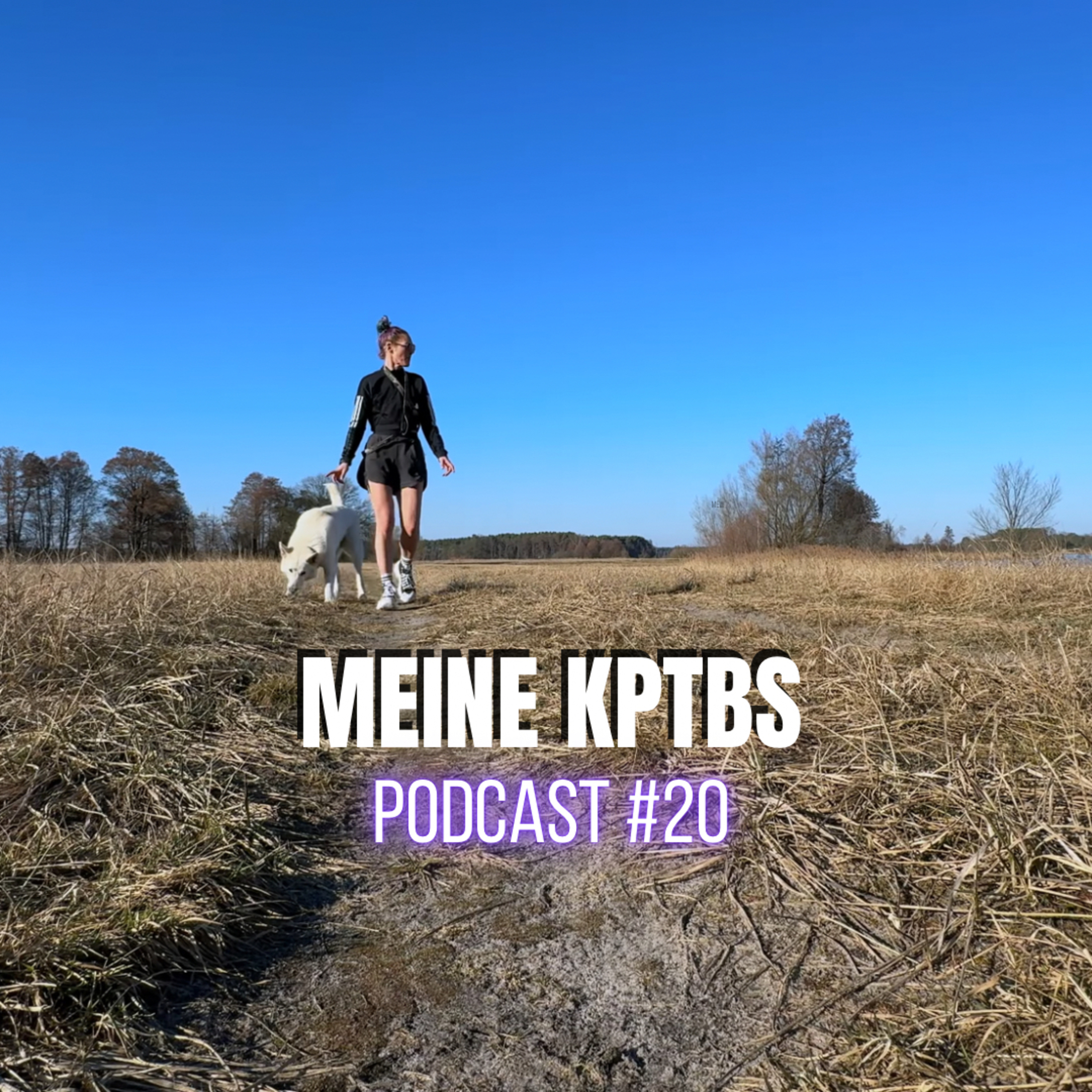Wie sich toxische Scham & Schuld im Alltag durch TRAUMA anfühlt (Zustände, Flashbacks, Trigger, Grübelschleifen, Selbstbeobachtung, Selbstreflexion) TEIL 1 | PODCAST #20 episode artwork