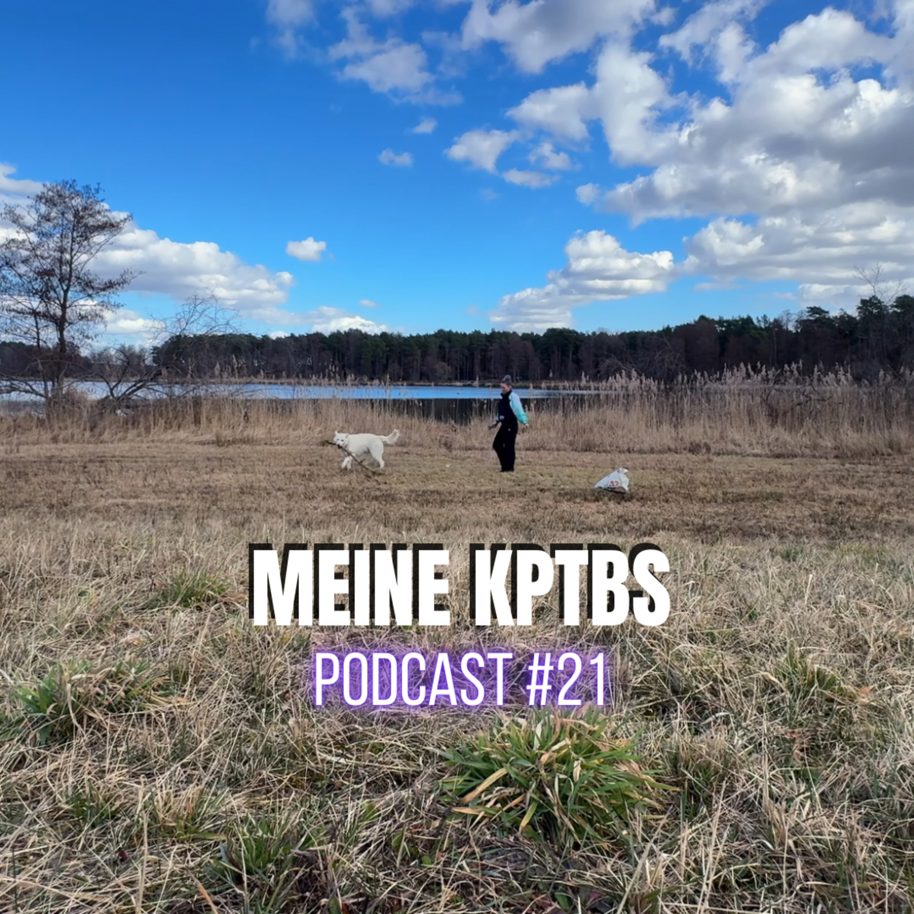 Wenn Scham & Schuld aus dem Körper sprechen, Leben mit TRAUMA - TEIL 2 (Zustandsbeschreibung, Wahrnehmung, Selbstbeobachtung, Selbstreflexion, Mobbing & fehlende Resonanz | PODCAST #21 episode artwork