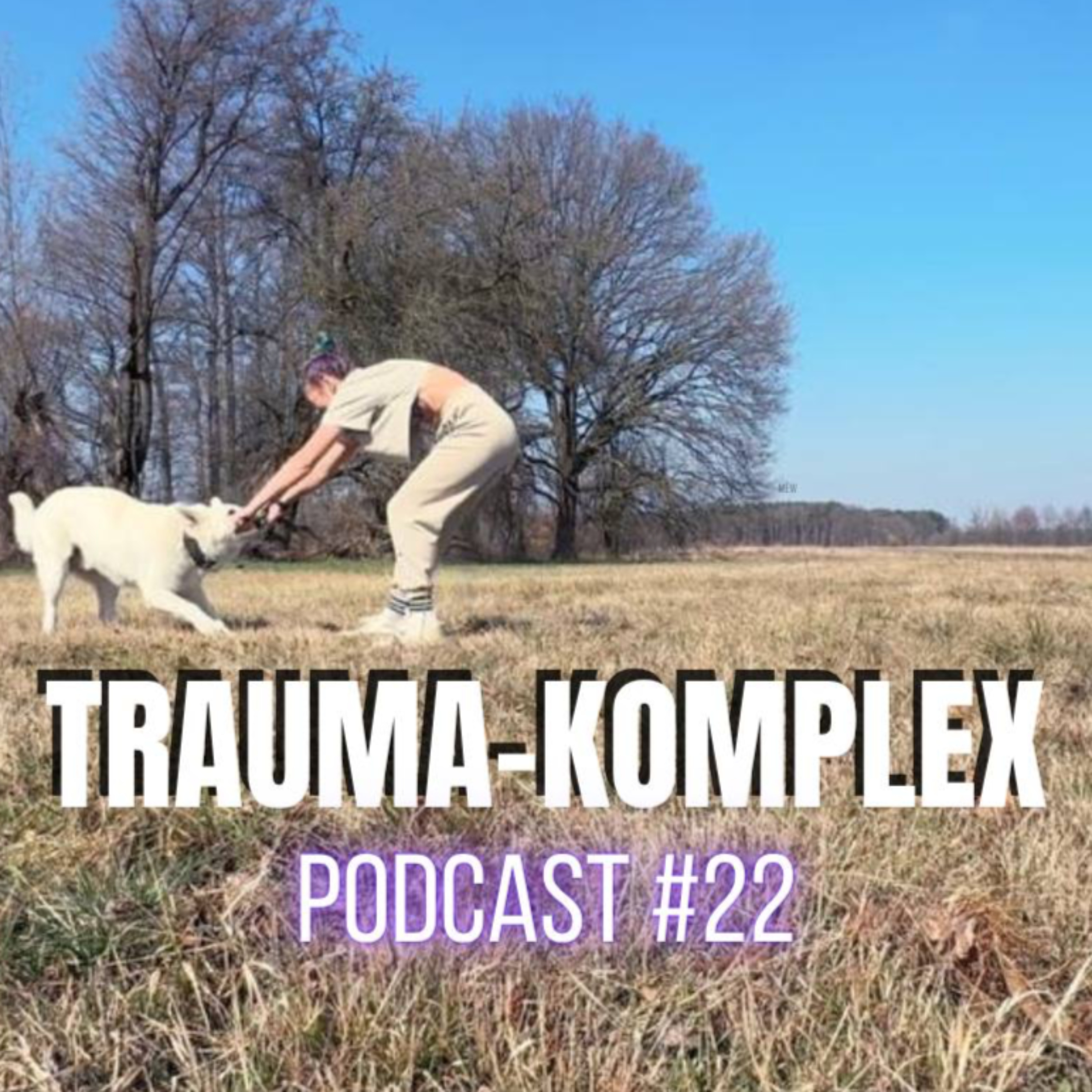 Wie sich TRAUMA anfühlt - Komplexität verstehen und fühlen - ein Perspektivwechsel | PODCAST #22 episode artwork