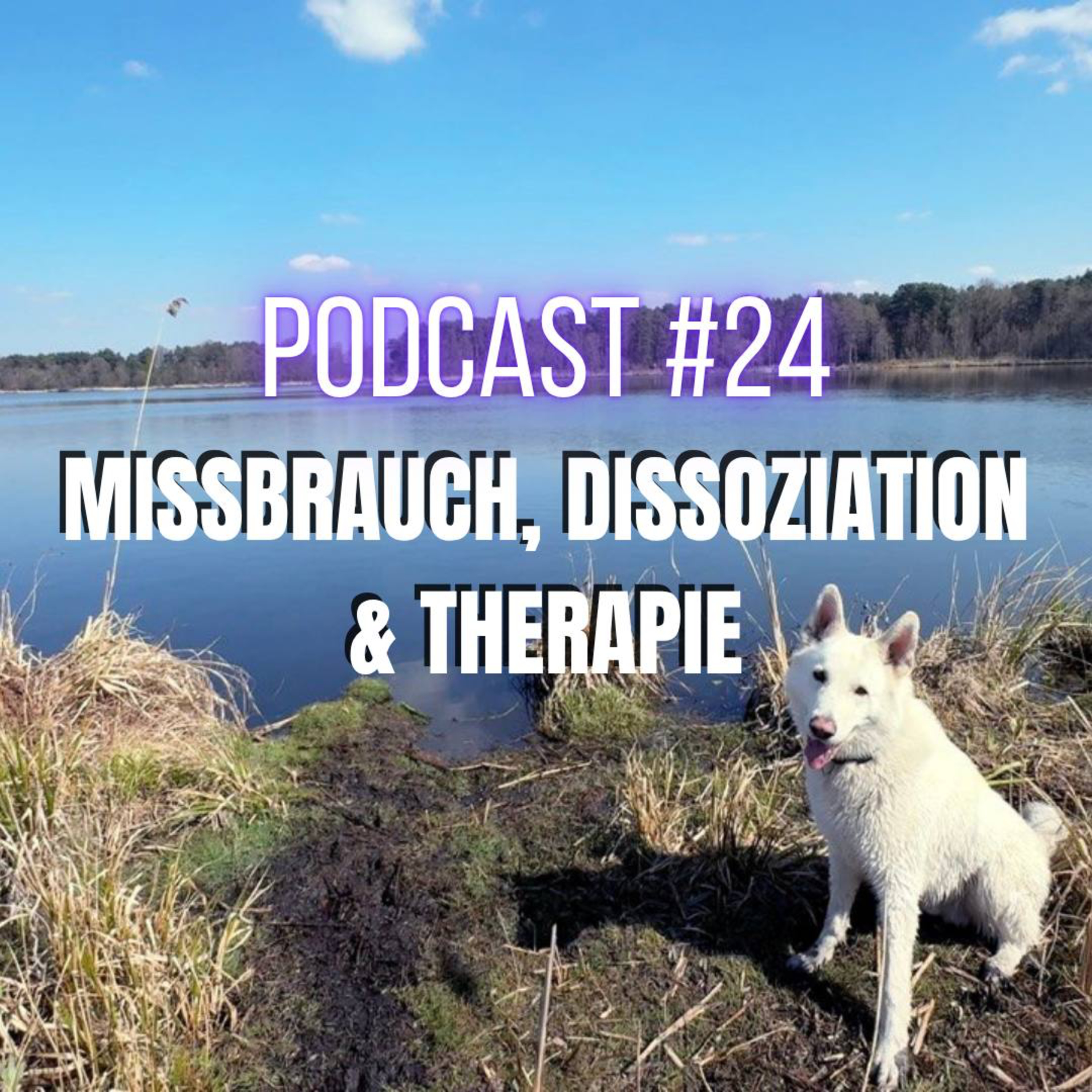 Wie Missbrauch & Dissoziation die toxische Scham, Schuld und Selbsthass steuern - Alltag mit psychischer Störung - TEIL 3 (Kindheit, Gewalt, Selbsthass, Funktionsmodus, Therapie) #24 episode artwork