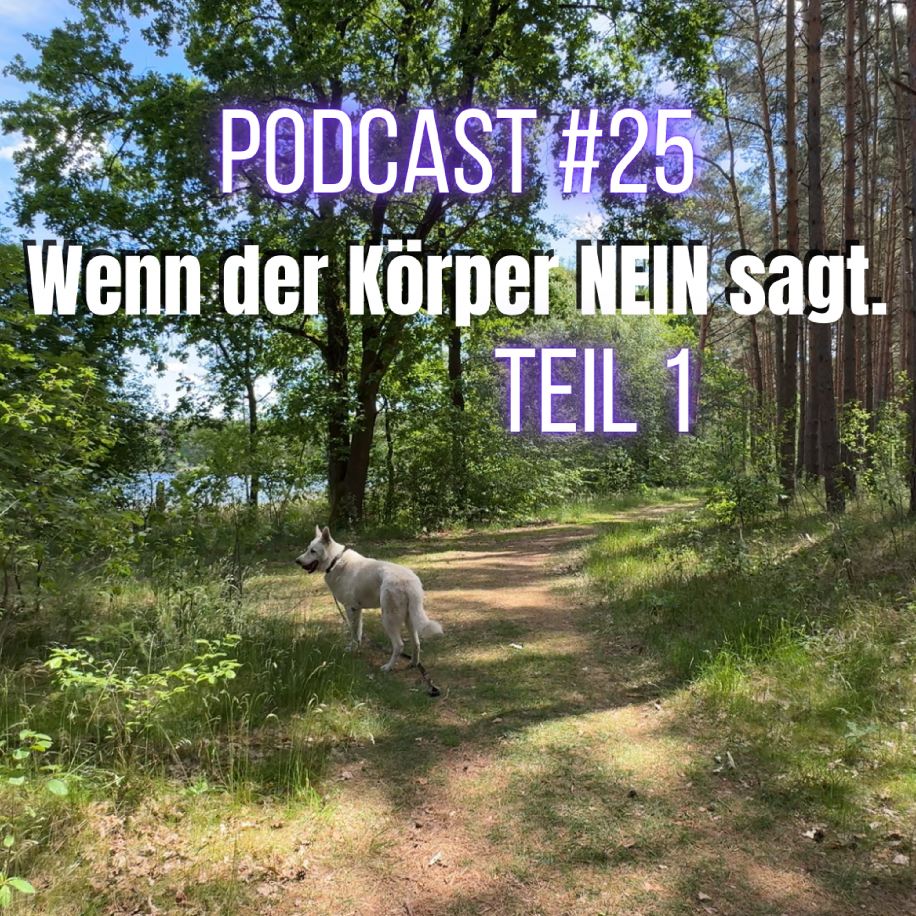 Wenn der Körper Nein sagt & Du trotzdem funktionieren musst - TEIL 1 (Schmerzen, Ärztemarathon, EM-Rente, Schwerbehinderung, VDK - Leben als kranker Mensch) - PODCAST #25 episode artwork