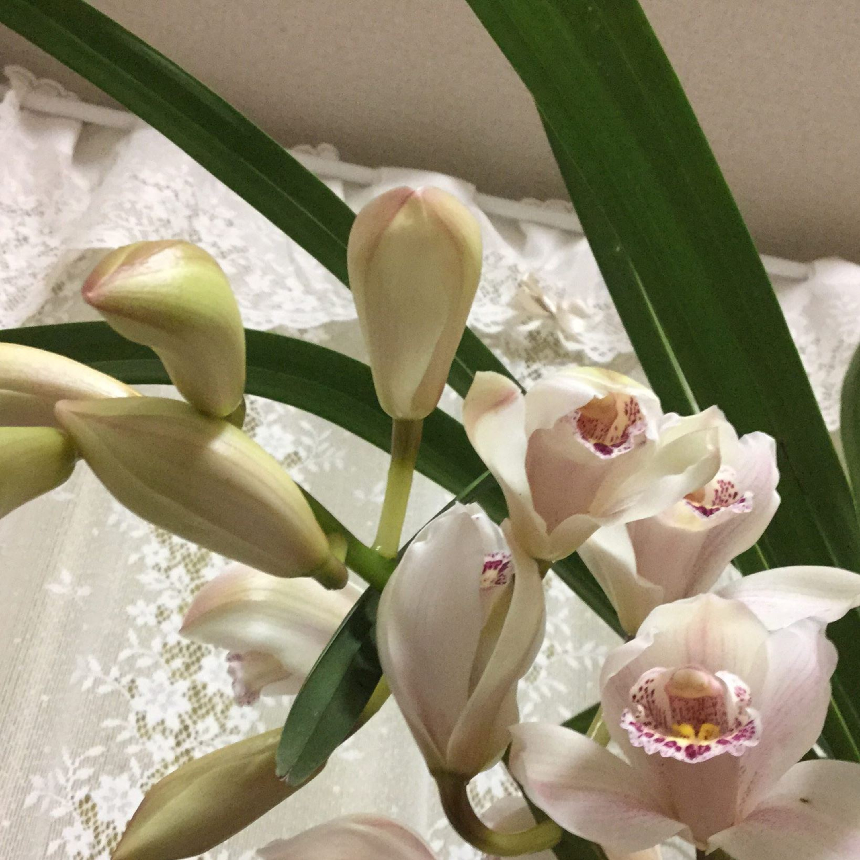 珈琲 , Jazz & 巡礼と…