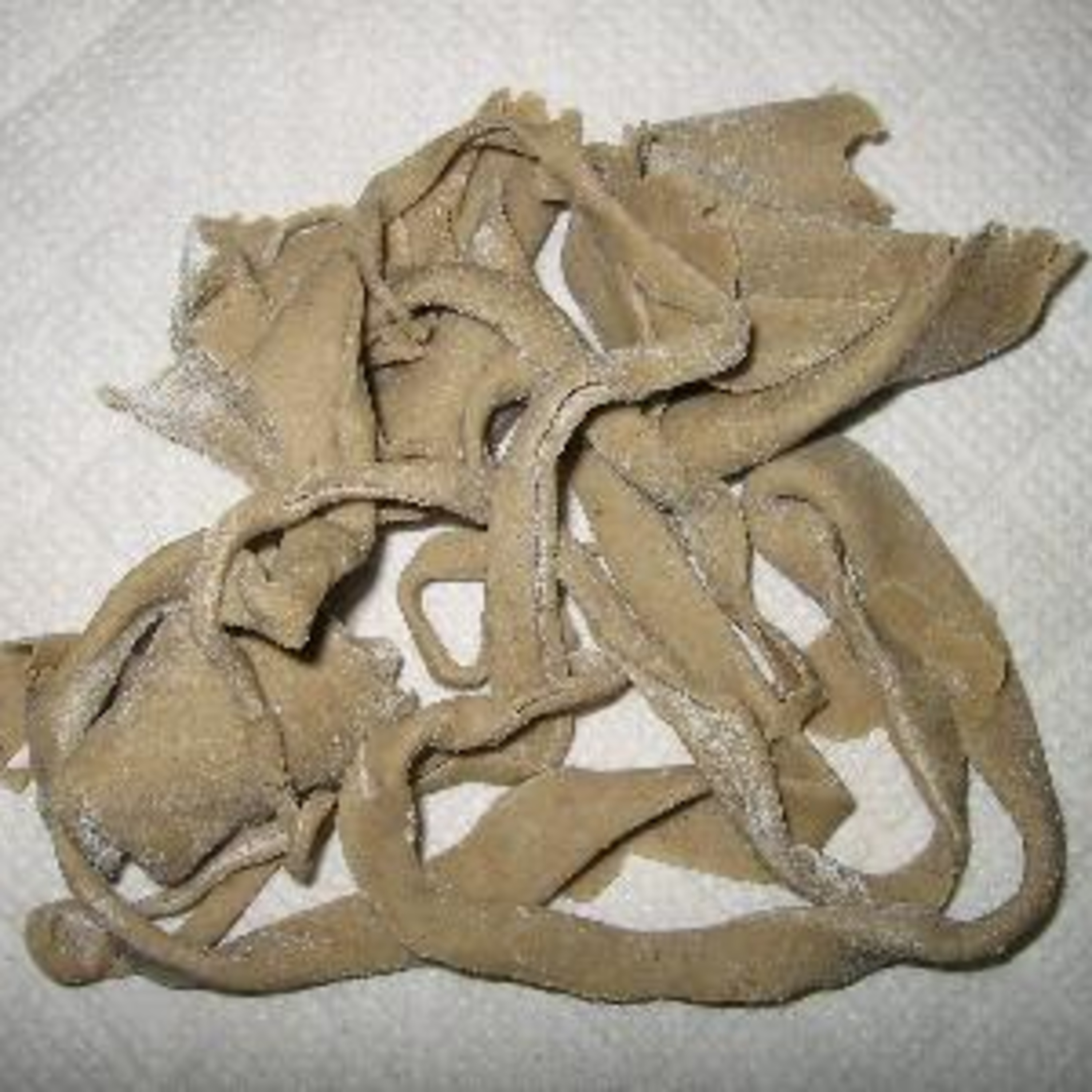 珈琲 , Jazz & 巡礼と…