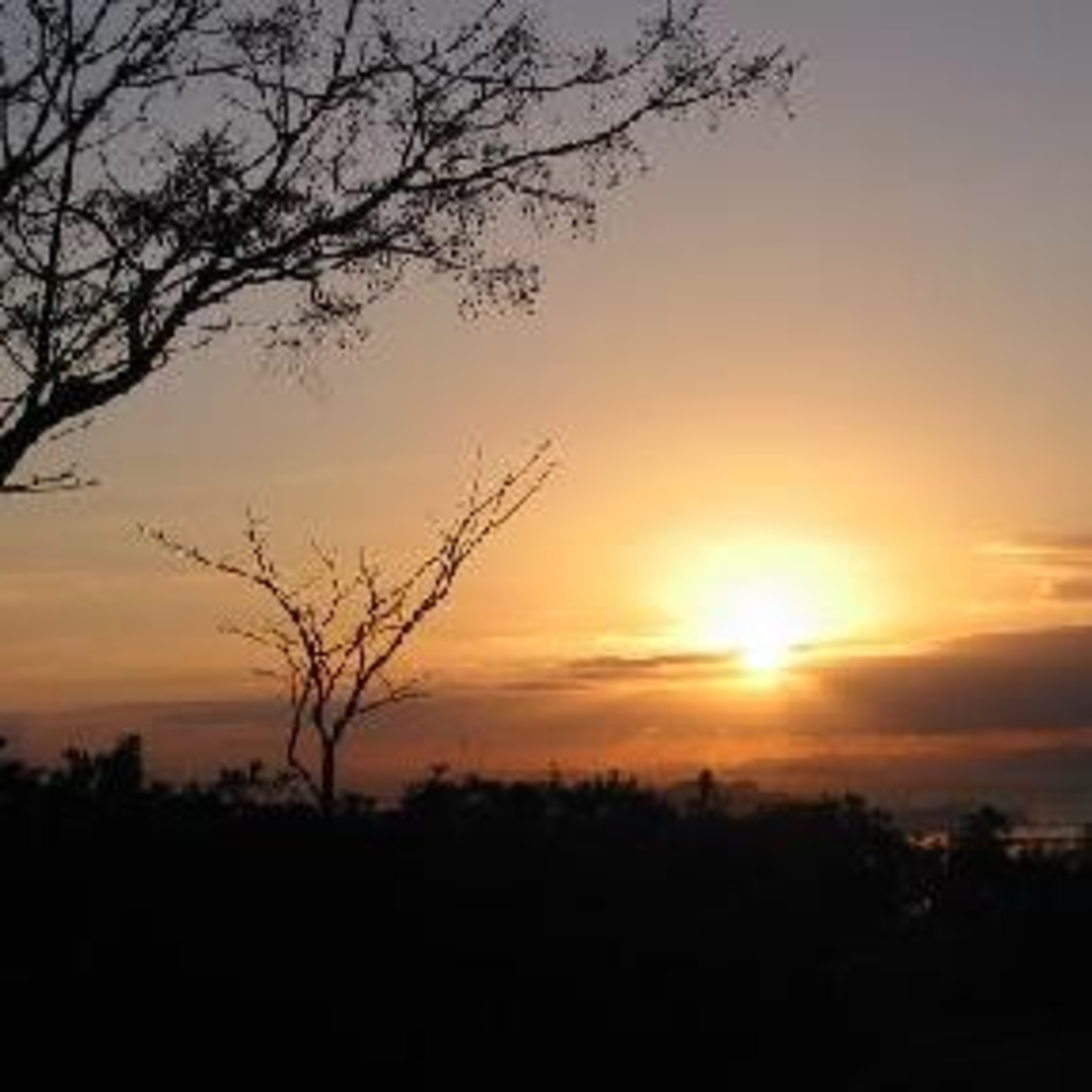 珈琲 , Jazz & 巡礼と…