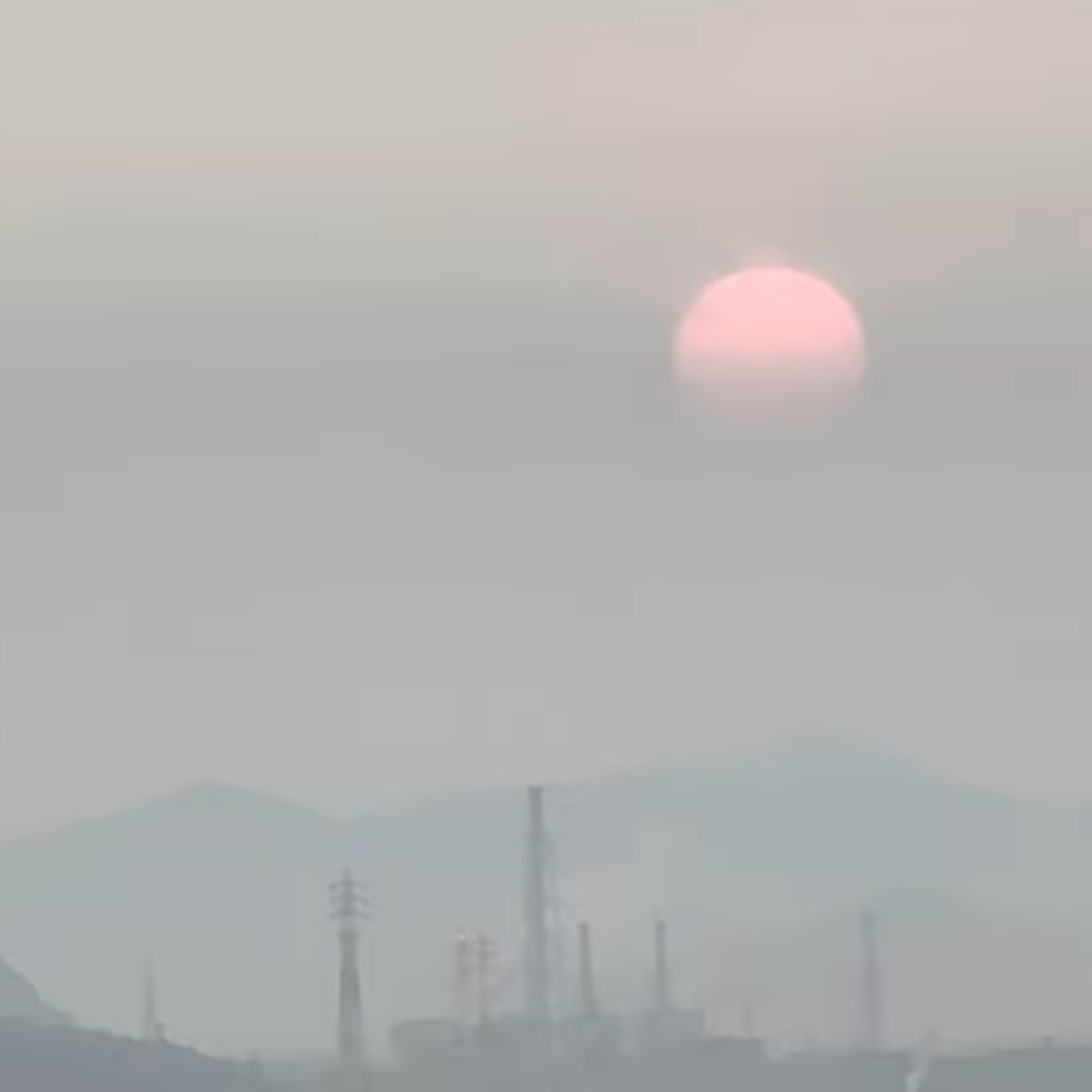Sunrise Coffee and Cherry Blossoms at the Lookout (2026年3月28日いつもの展望台から)