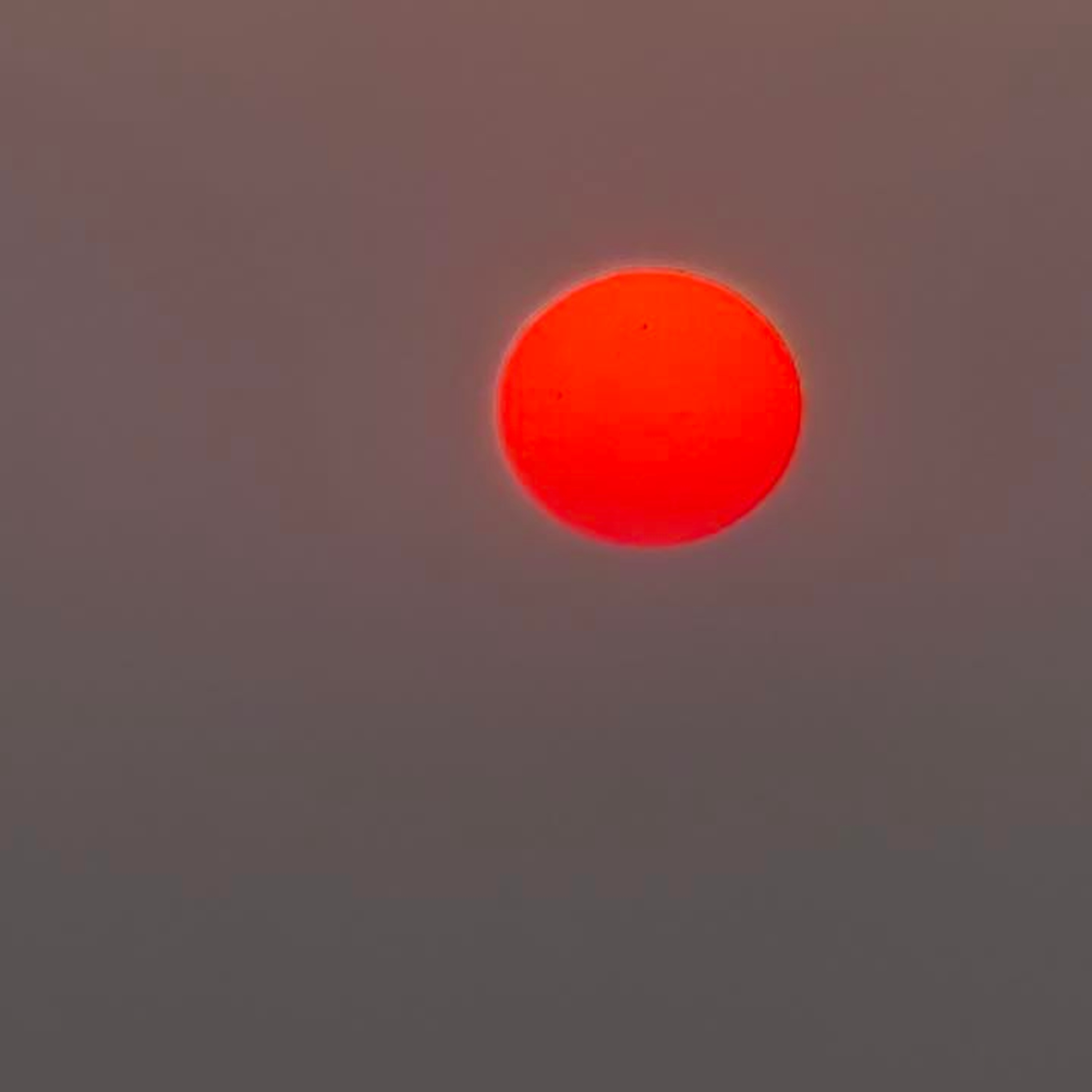 Sunrise Melodies and Mandheling Brews at the Observatory (いつもの展望台から2026年3月29日)
