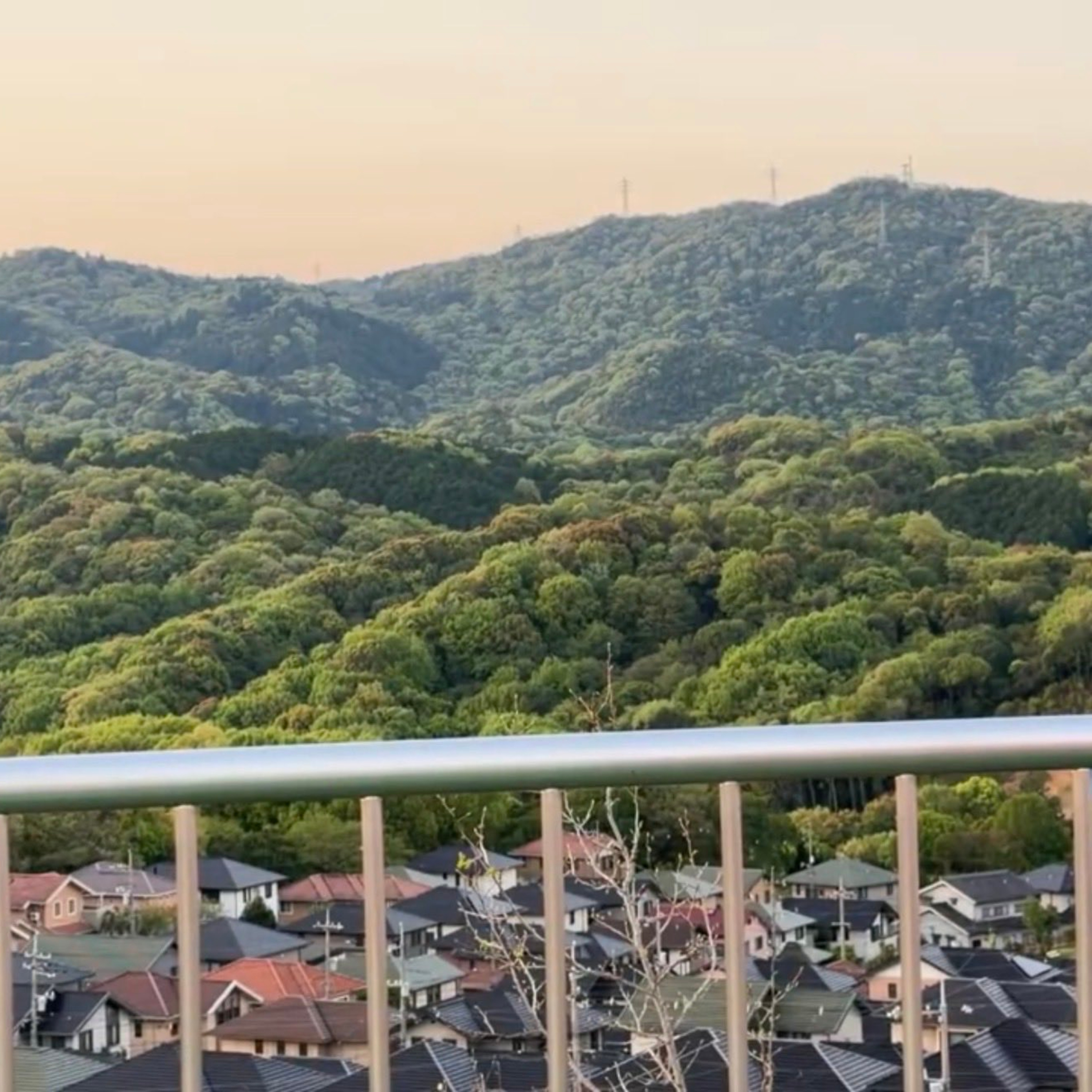 Sunrise Coffee: Spring Dawn at the Observation Deck （いつもの展望台から2026年4月16日）