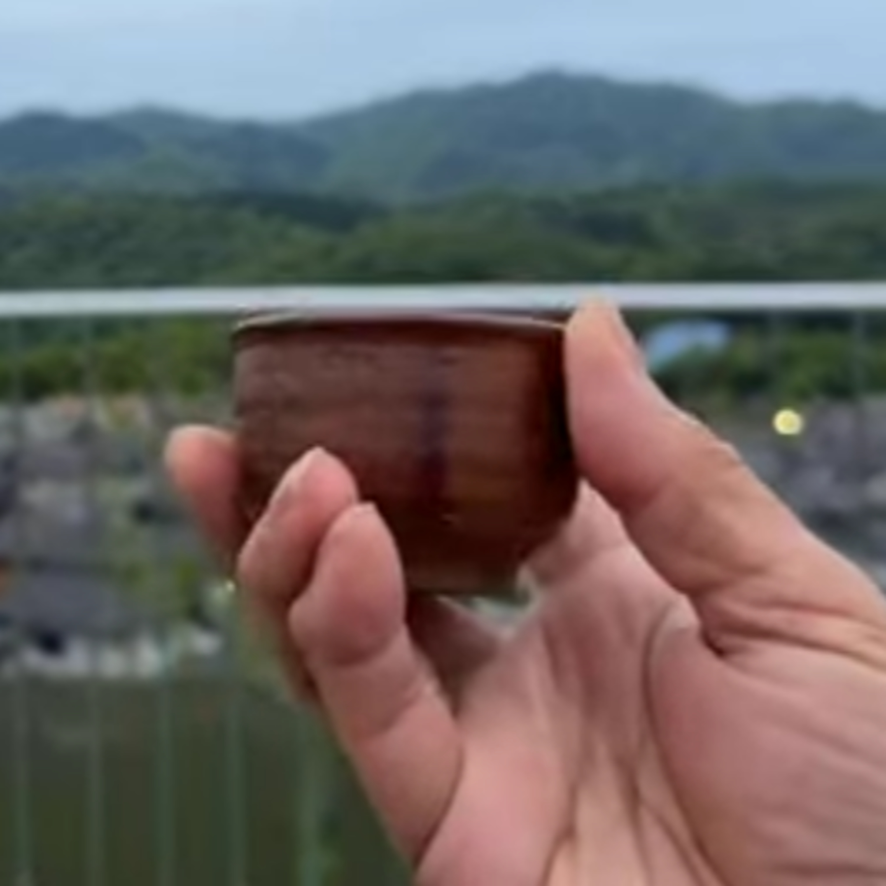 Dawn Mist Coffee and Rain-Washed Verandas (いつもの展望台から2026年4月24日)