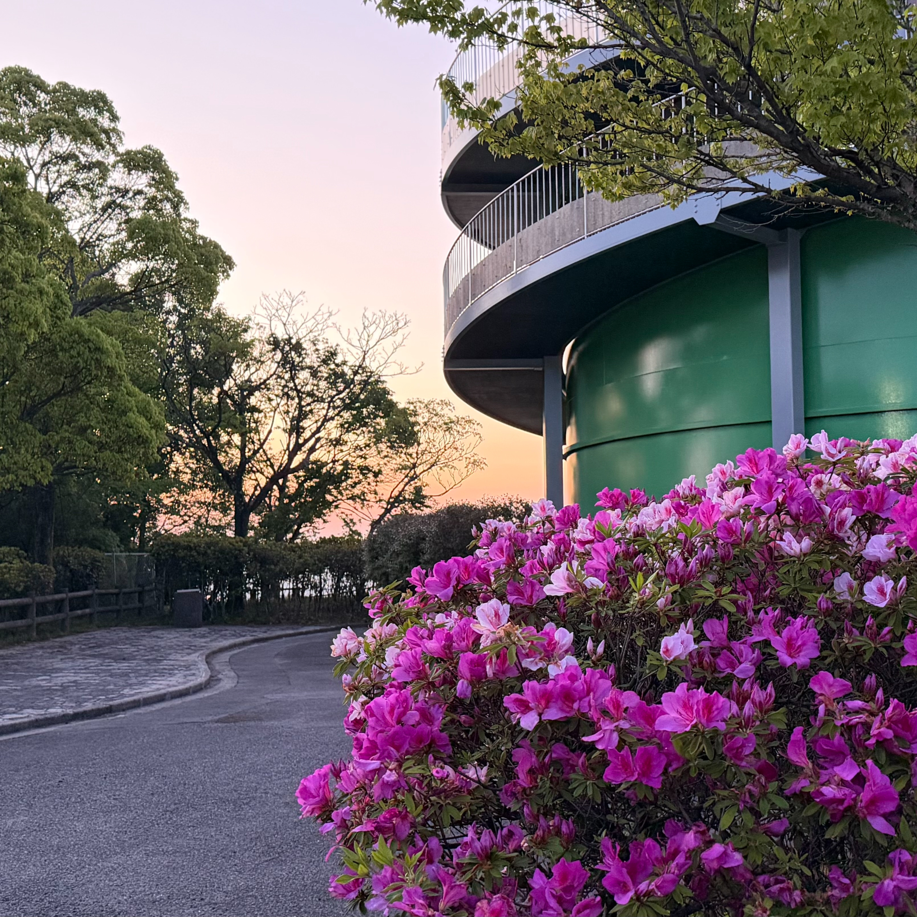 Sunrise Brew and Mountain Views at the Observatory（いつもの展望台2026年5月7日）
