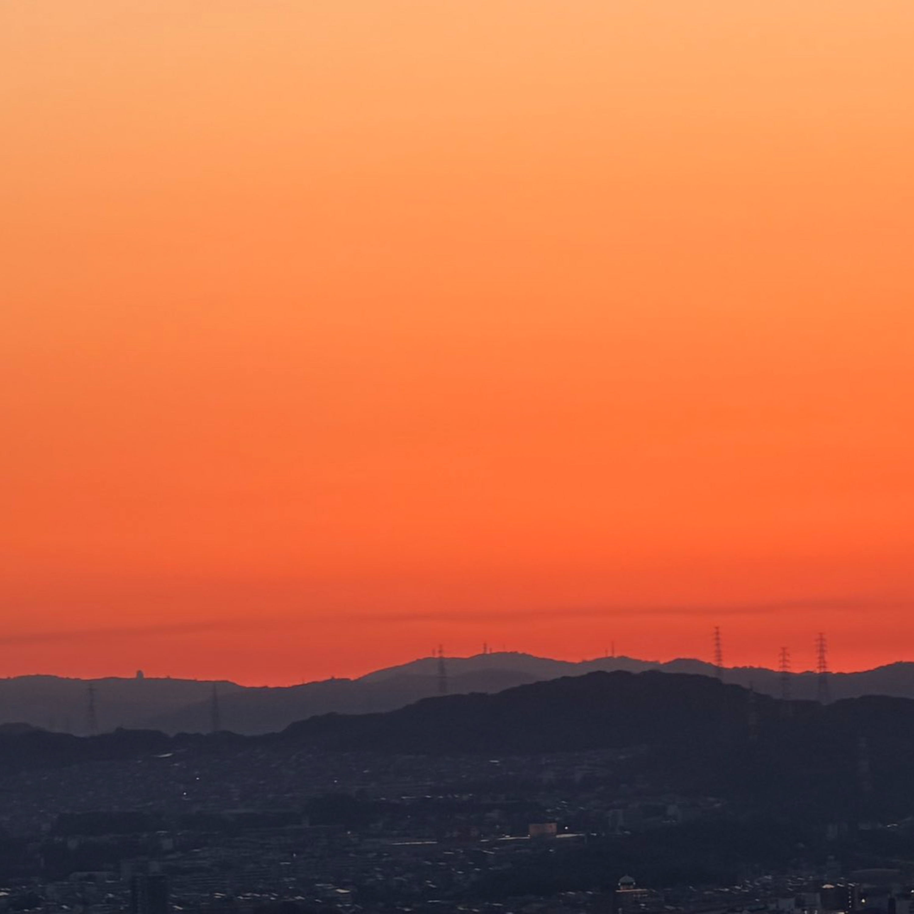 Sunrise Coffee and Coastal Conversations at the Observation Deck(いつもの展望台から2026年5月10日)