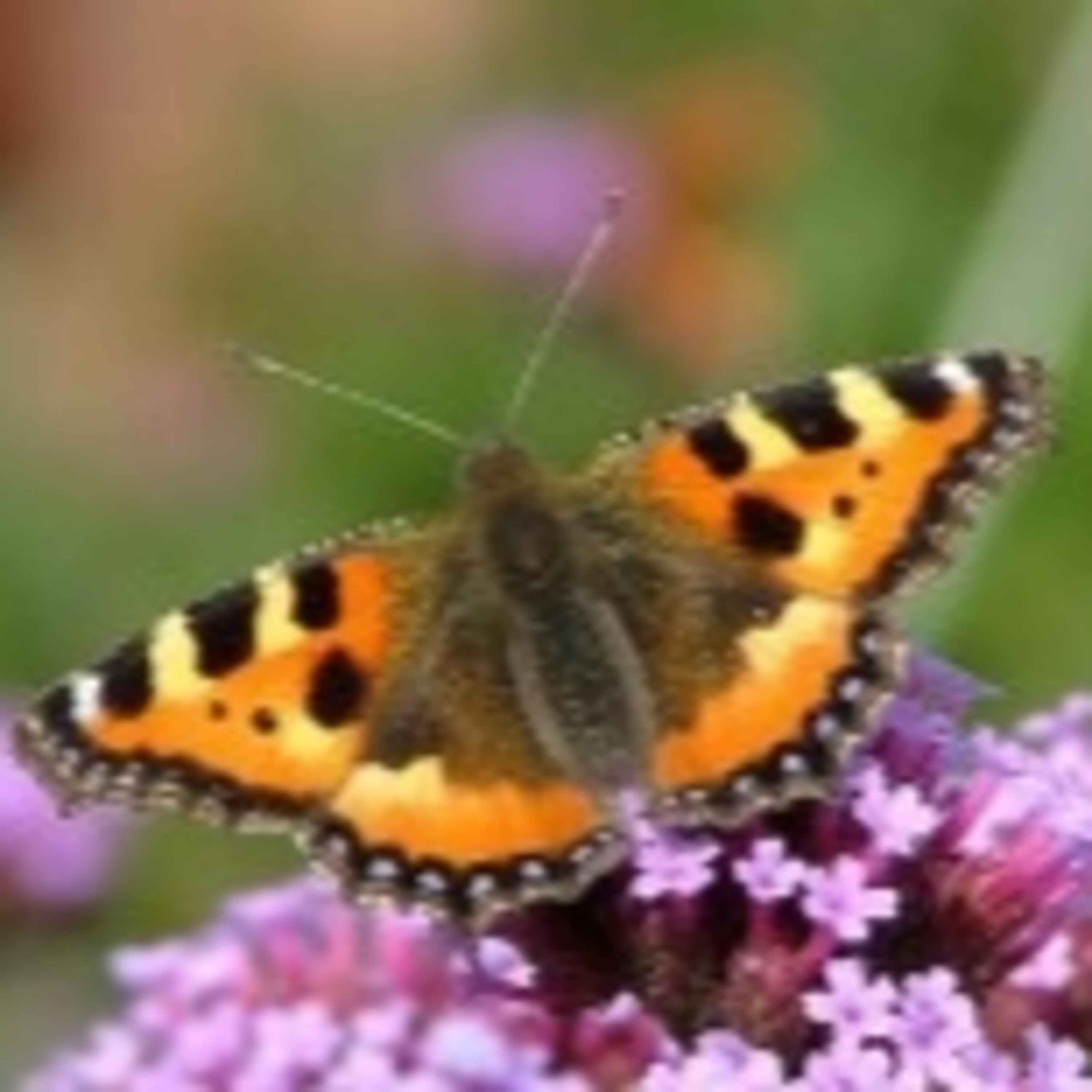 The FiremanRich Audio/Podcast: Morning Coffee 🌄☕ 05.30.2023🎙🔊