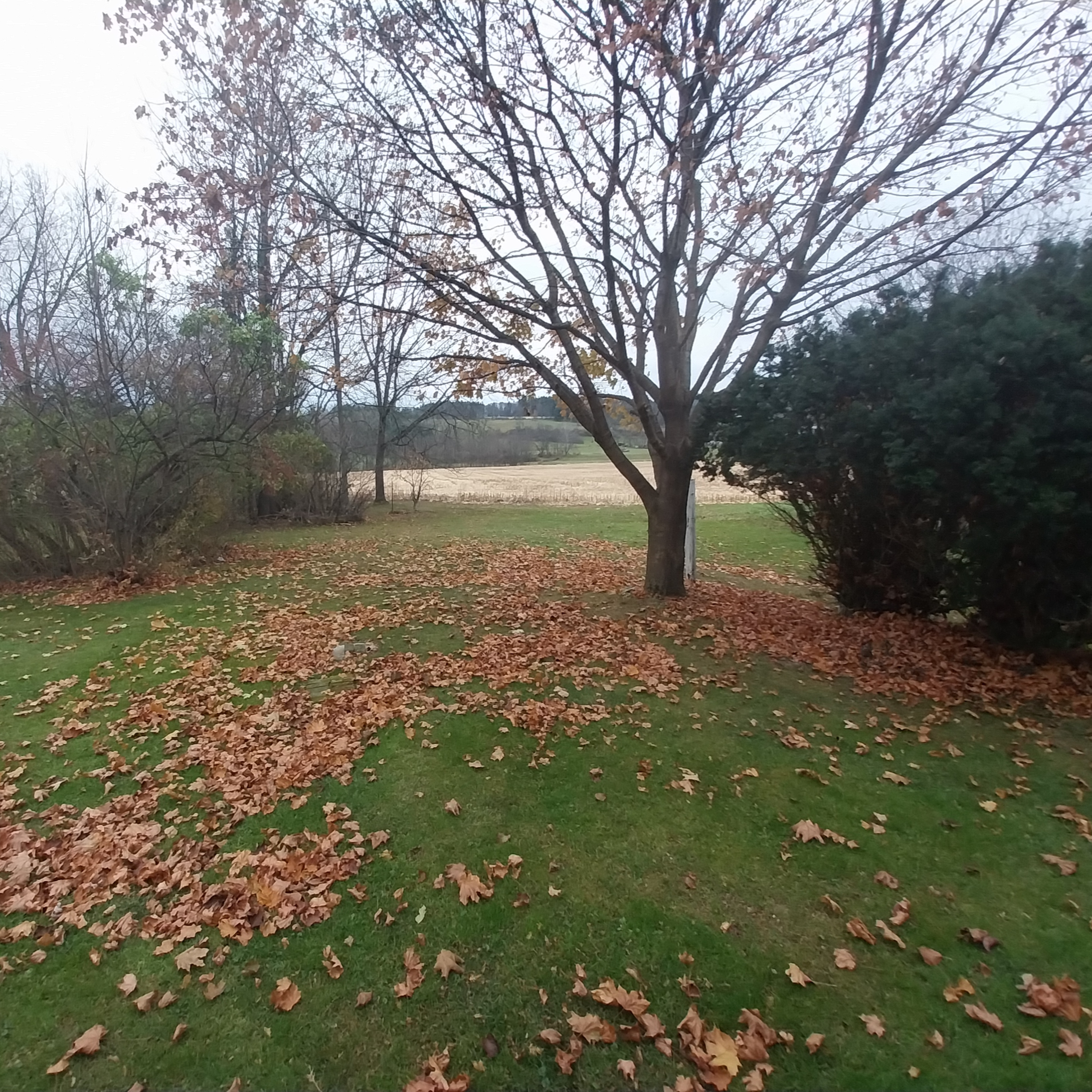 Saturday Morning Thoughts From The Stone Step Porch 🌄☕ 11.16.2024 #NaPodPoMo #AudioMonth