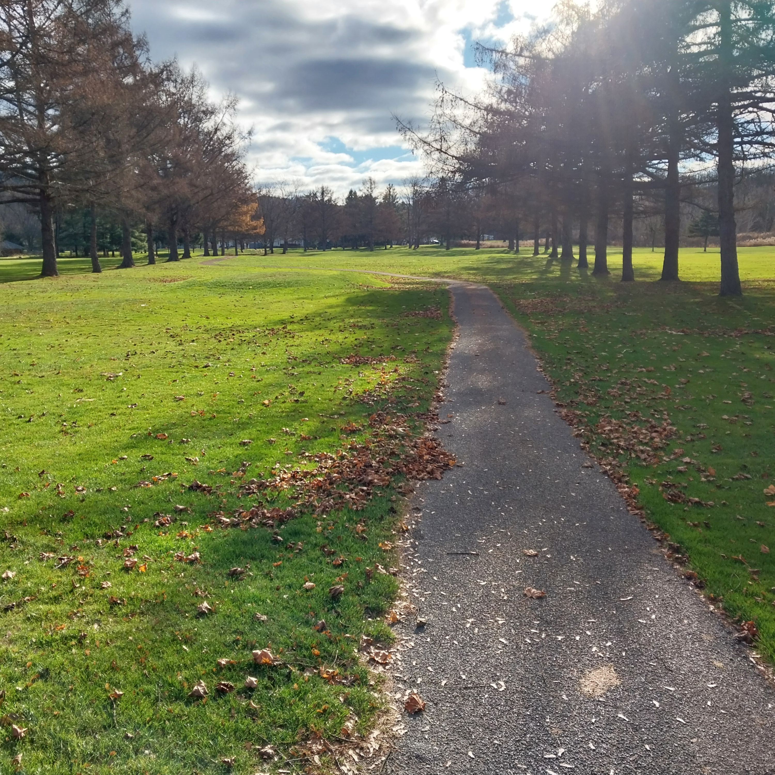 A Stroll Down The 13th Fairway ⛳ . . . .