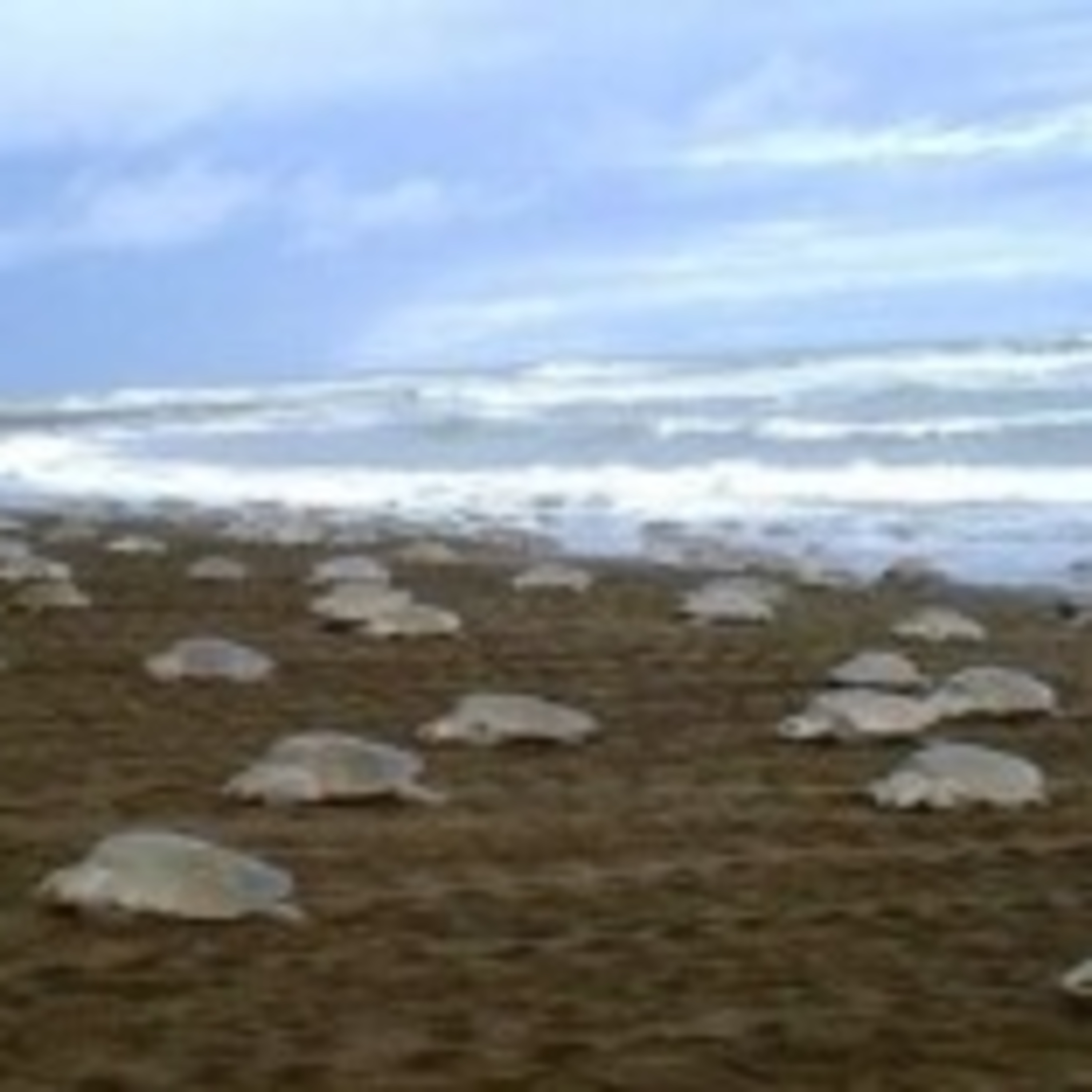 The FiremanRich Audio/Podcast: Morning Coffee 🌄☕ 12.11.2025🎙️🔊