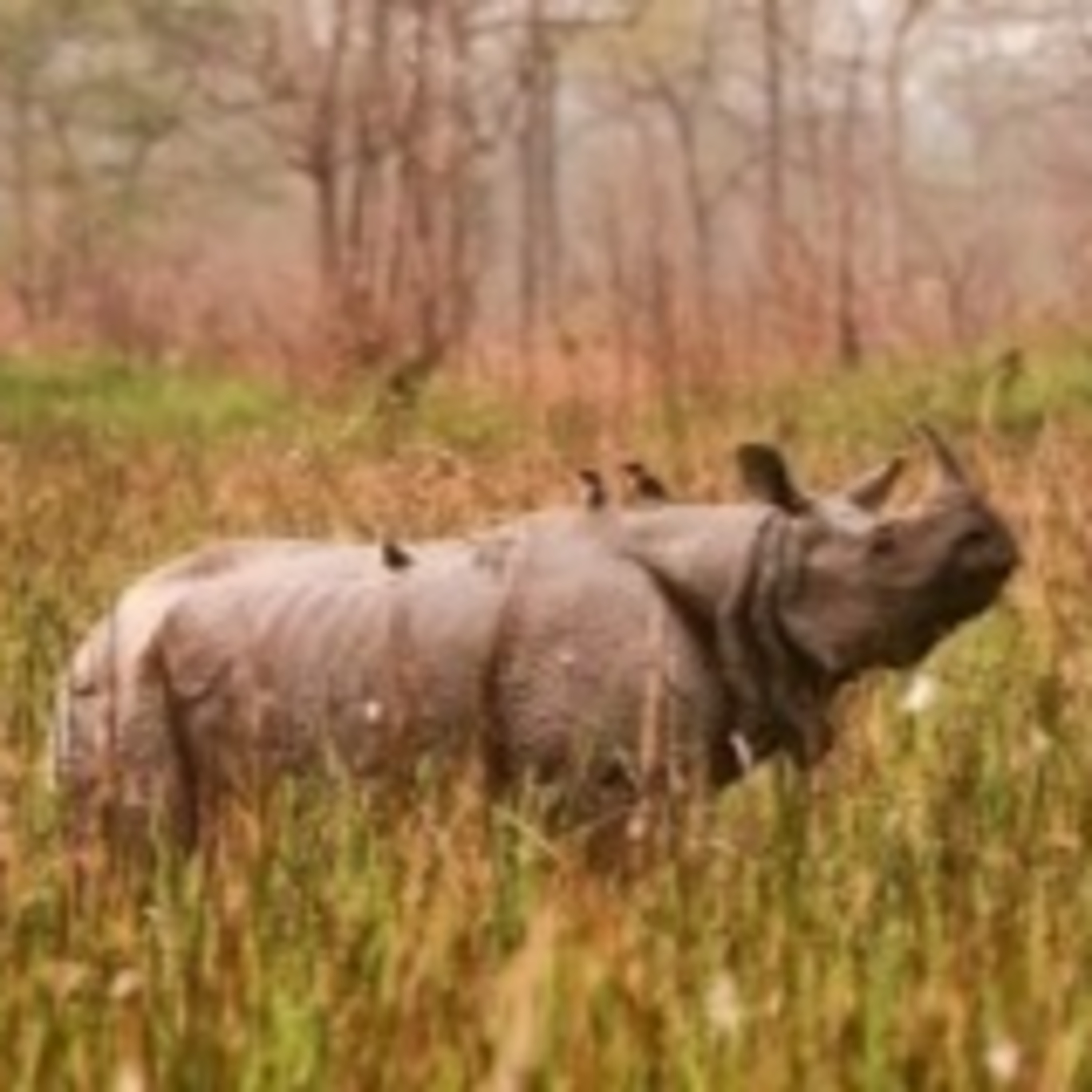 The FiremanRich Audio/Podcast: Morning Coffee 🌄☕ 01.08.2026🎙️🔊