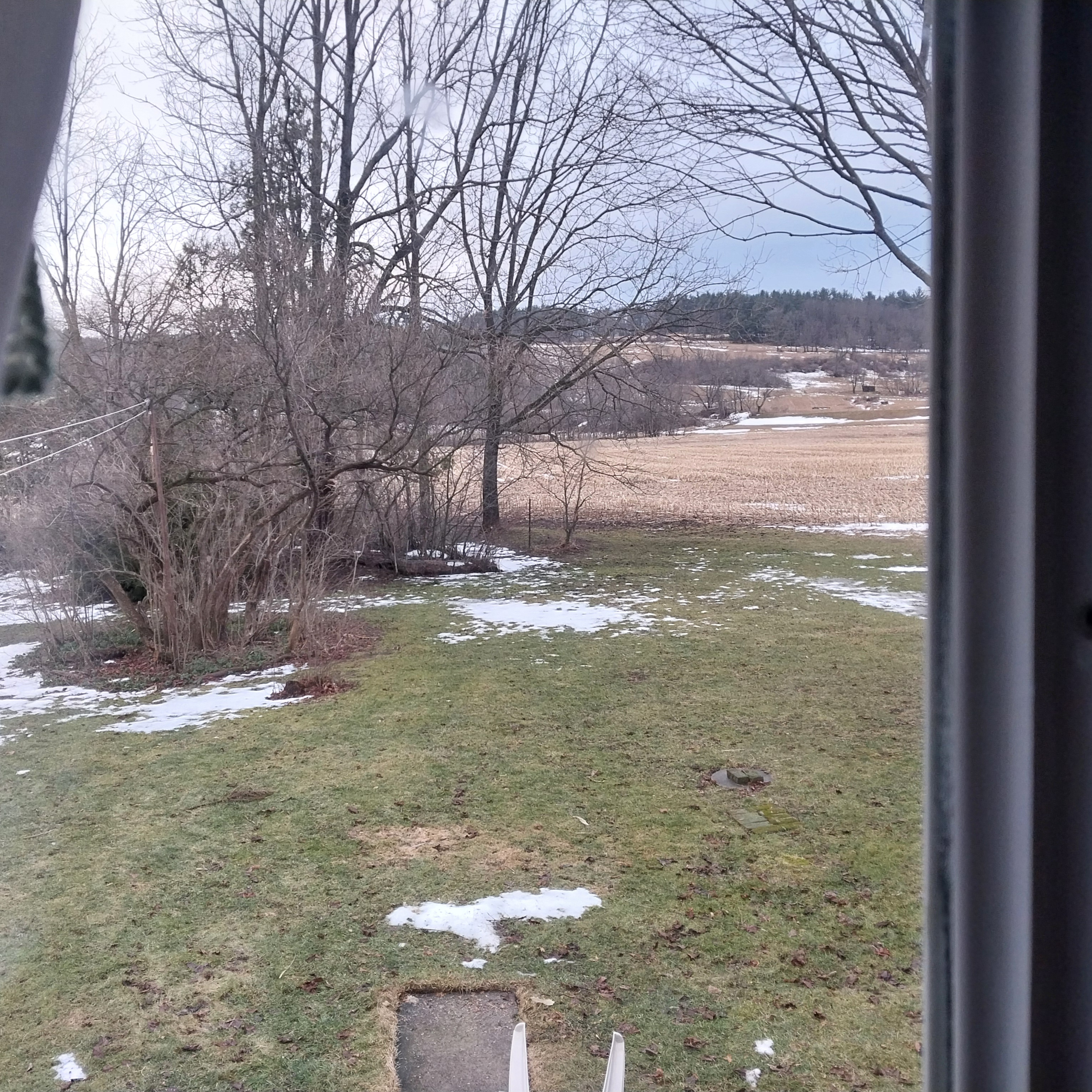 Receding Snow 02.21.2026