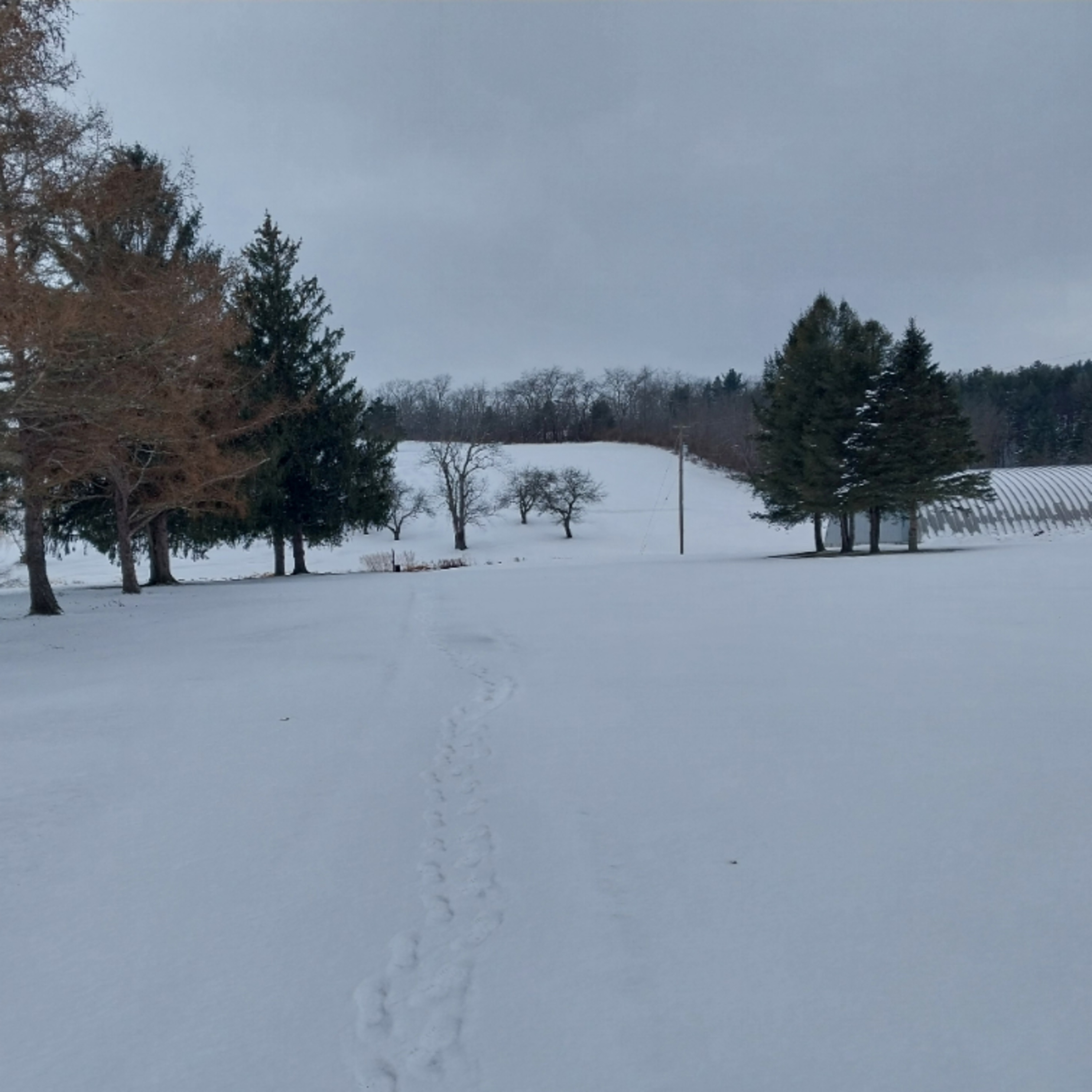 Morning 🌄 Walk OnThe Snow ❄️ Covered Golf Course ⛳️ 02.24.2026