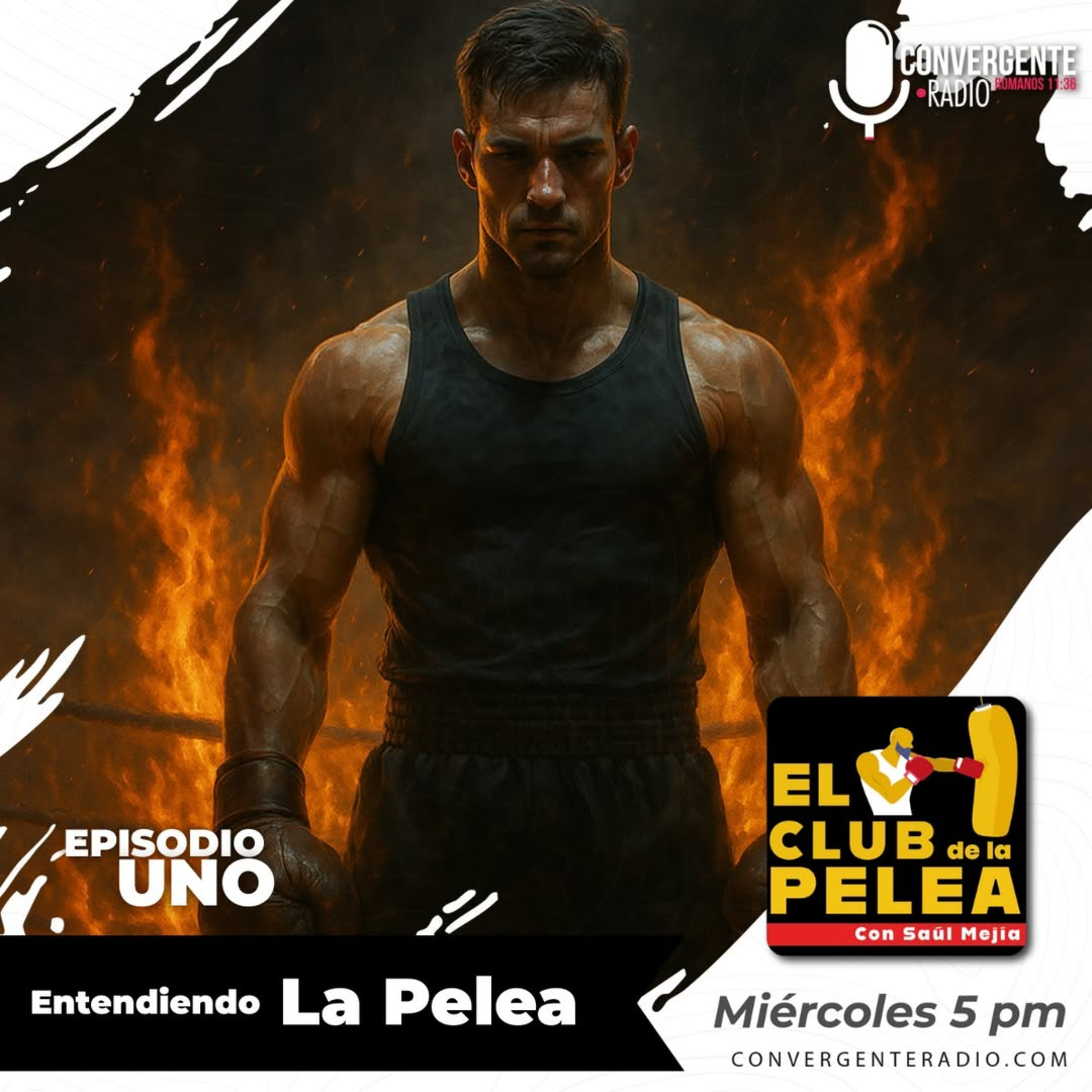 Entender la pelea - EP1 episode artwork
