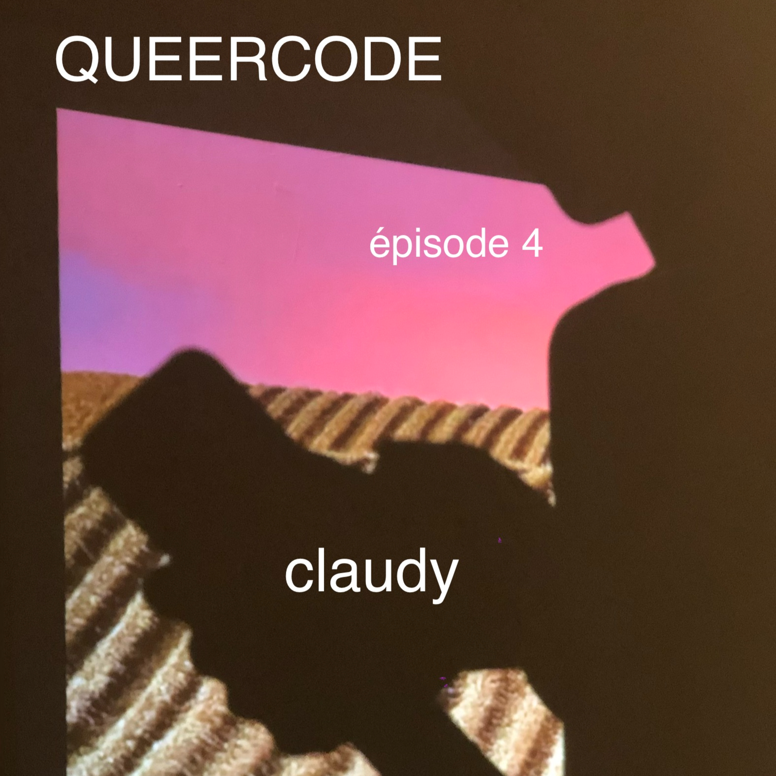 « Être lgbt, ça veut pas dire être queer » – Claudy