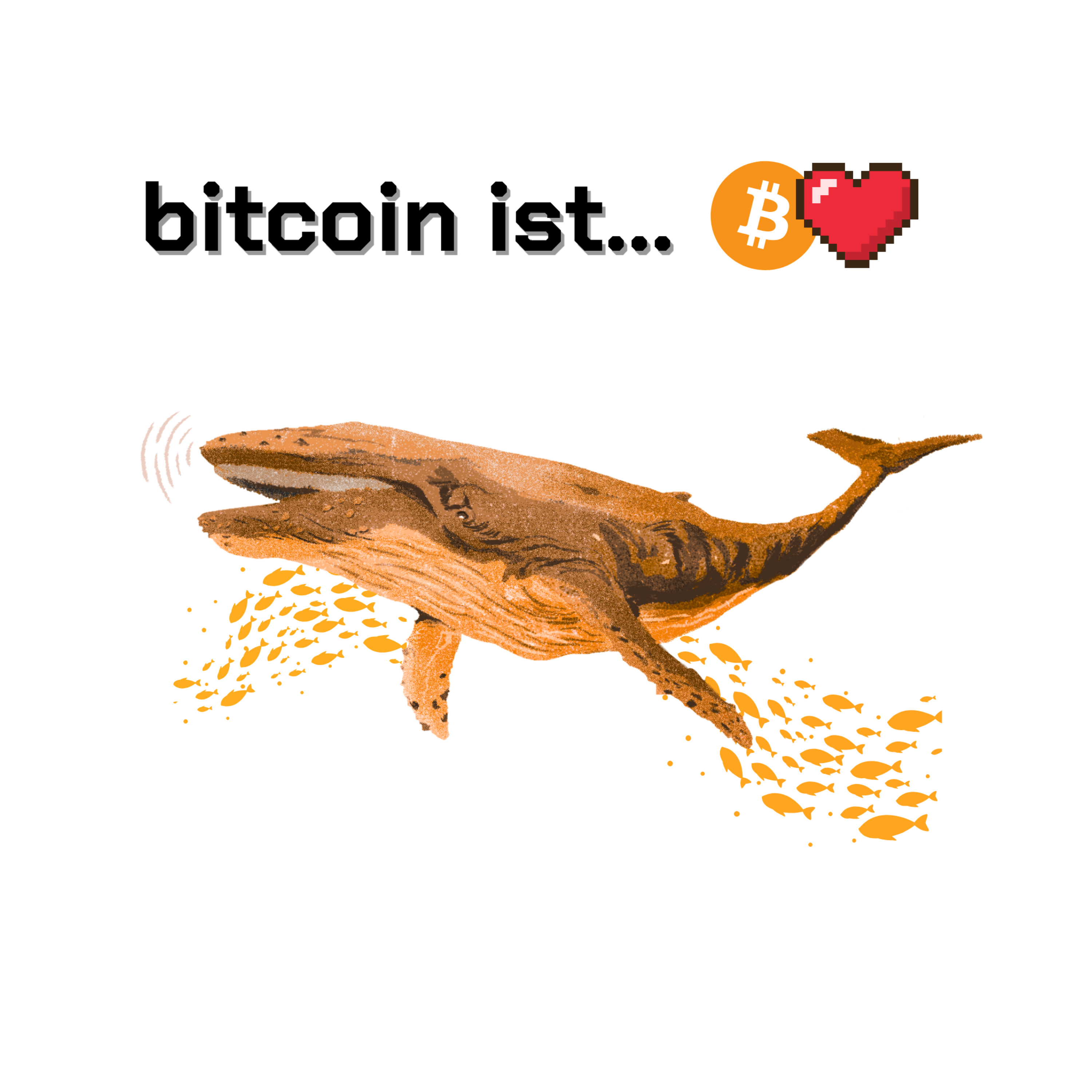bitcoin ist - Wissen statt FOMO